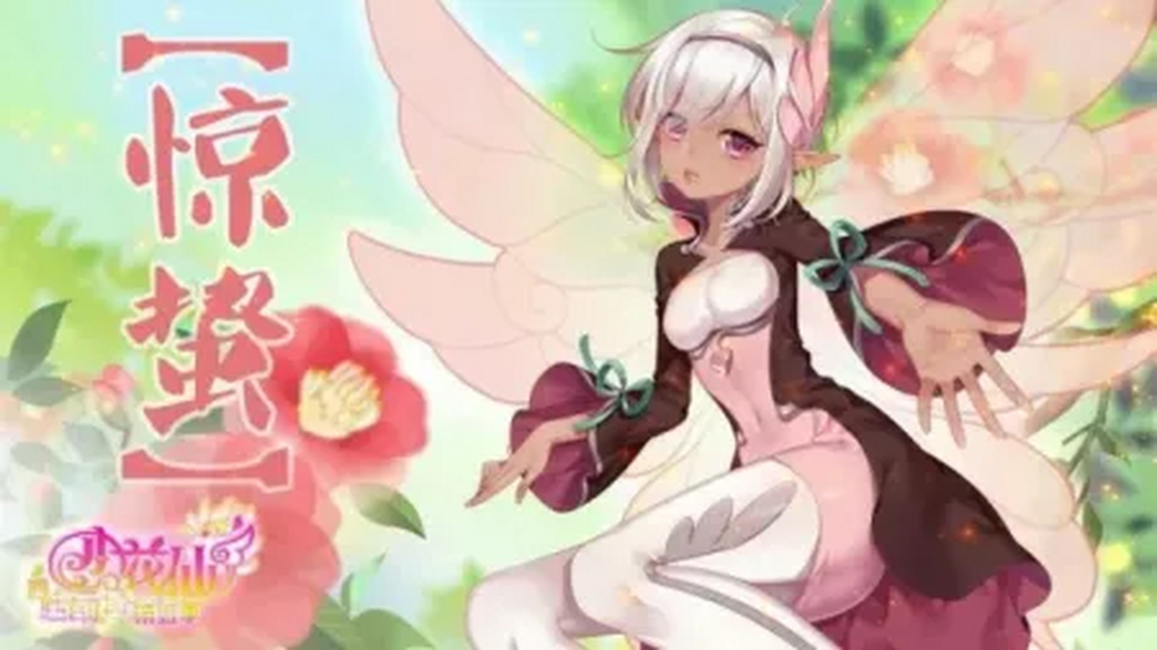 小花仙—春季节气花信