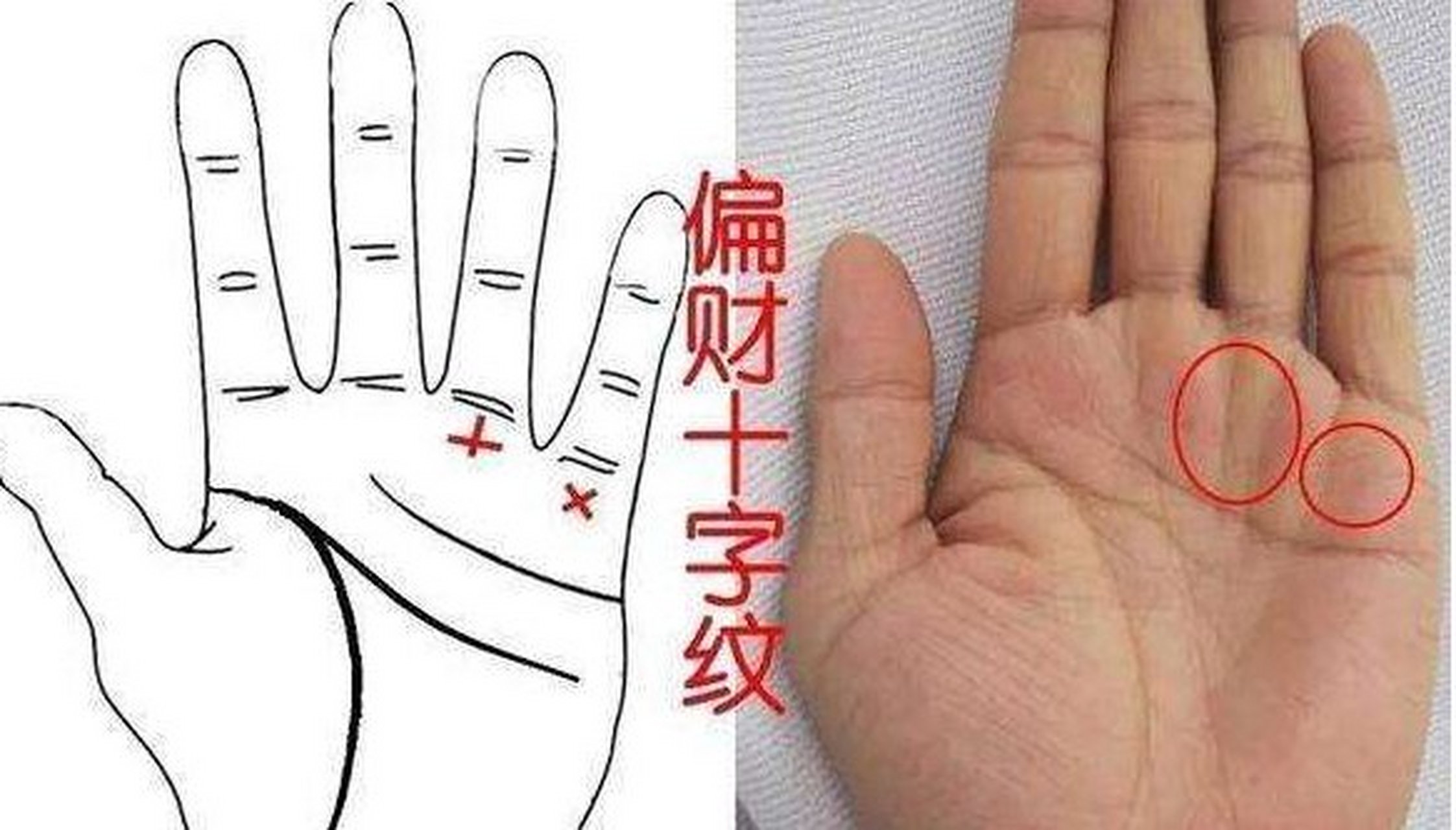 偏财型  小指根部水星丘与无名指根部太阳丘之间的部位如有出现十字纹