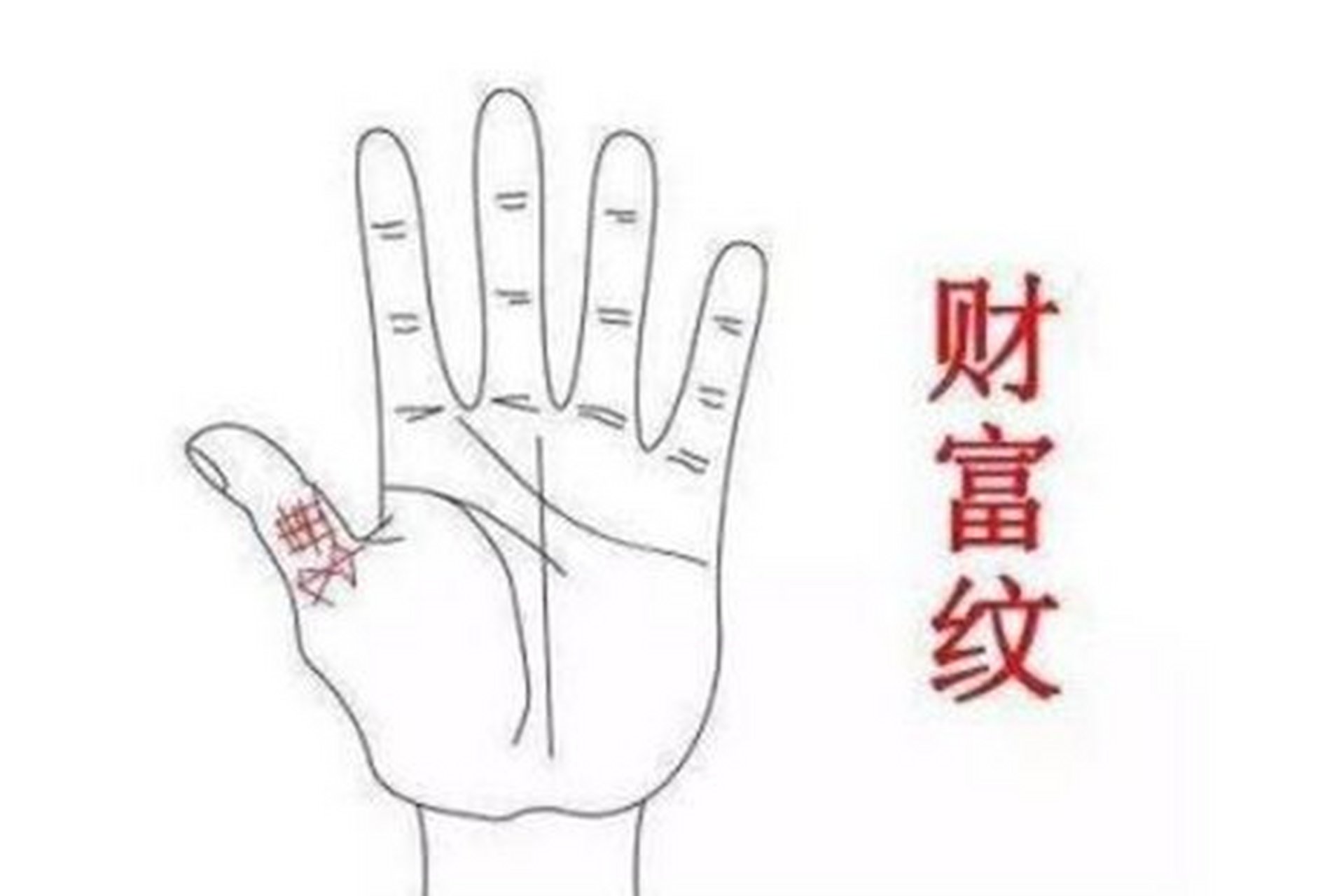 横纹 大拇指第二关节如果出现非常清晰和明显的横纹,横纹越多,则偏