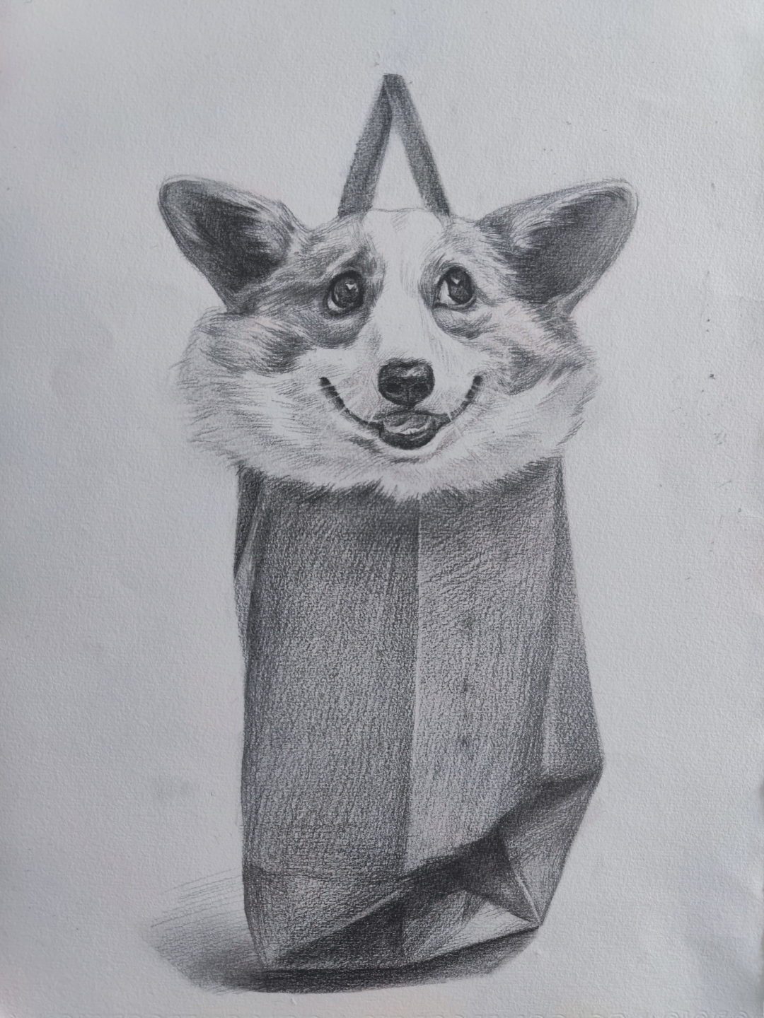 宝子们,看看我画的萌宠柯基小狗 是不是超级可爱?