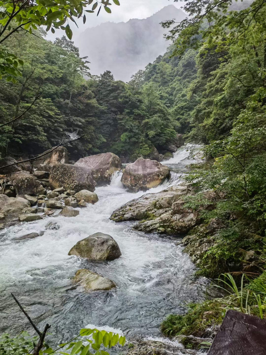 神龙谷景区介绍炎陵图片