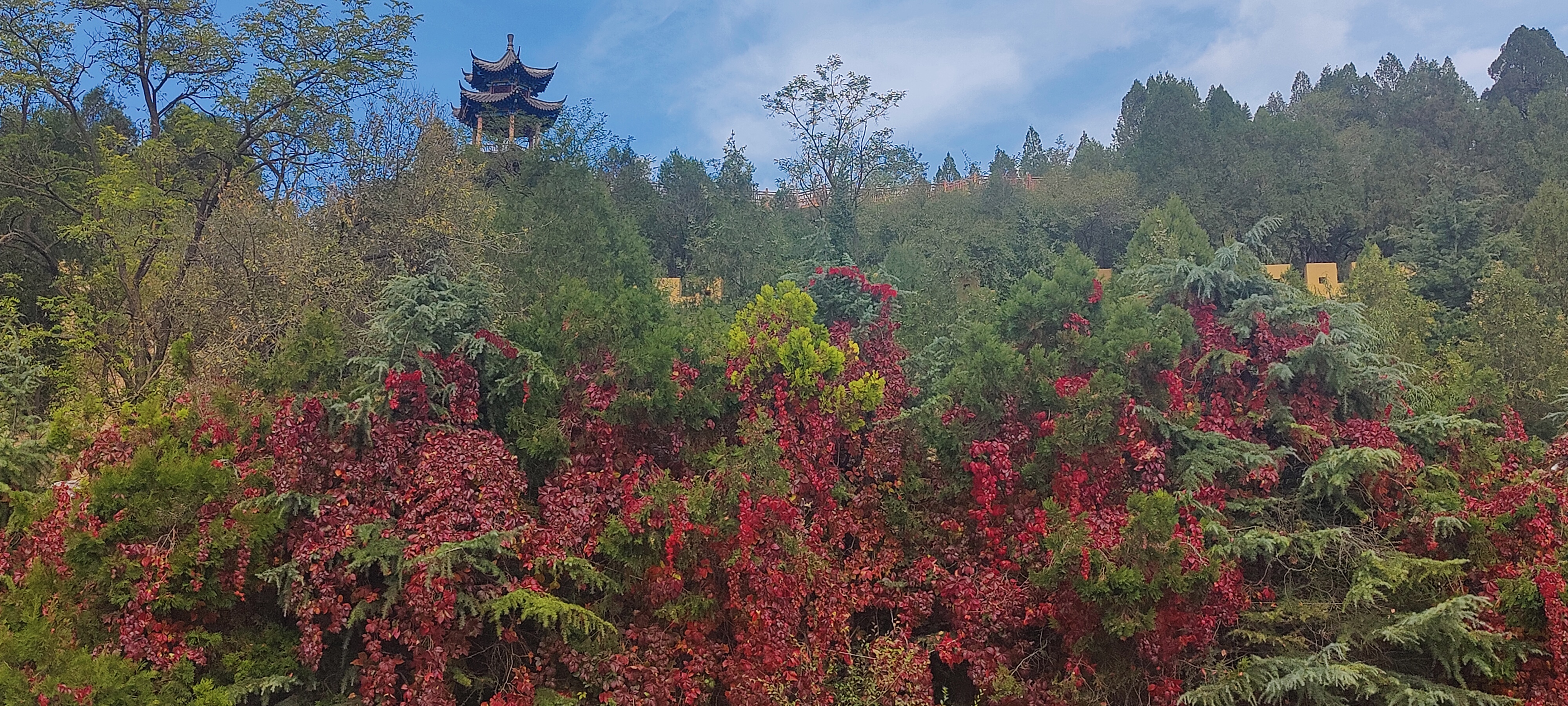 大堡子山遗址图片