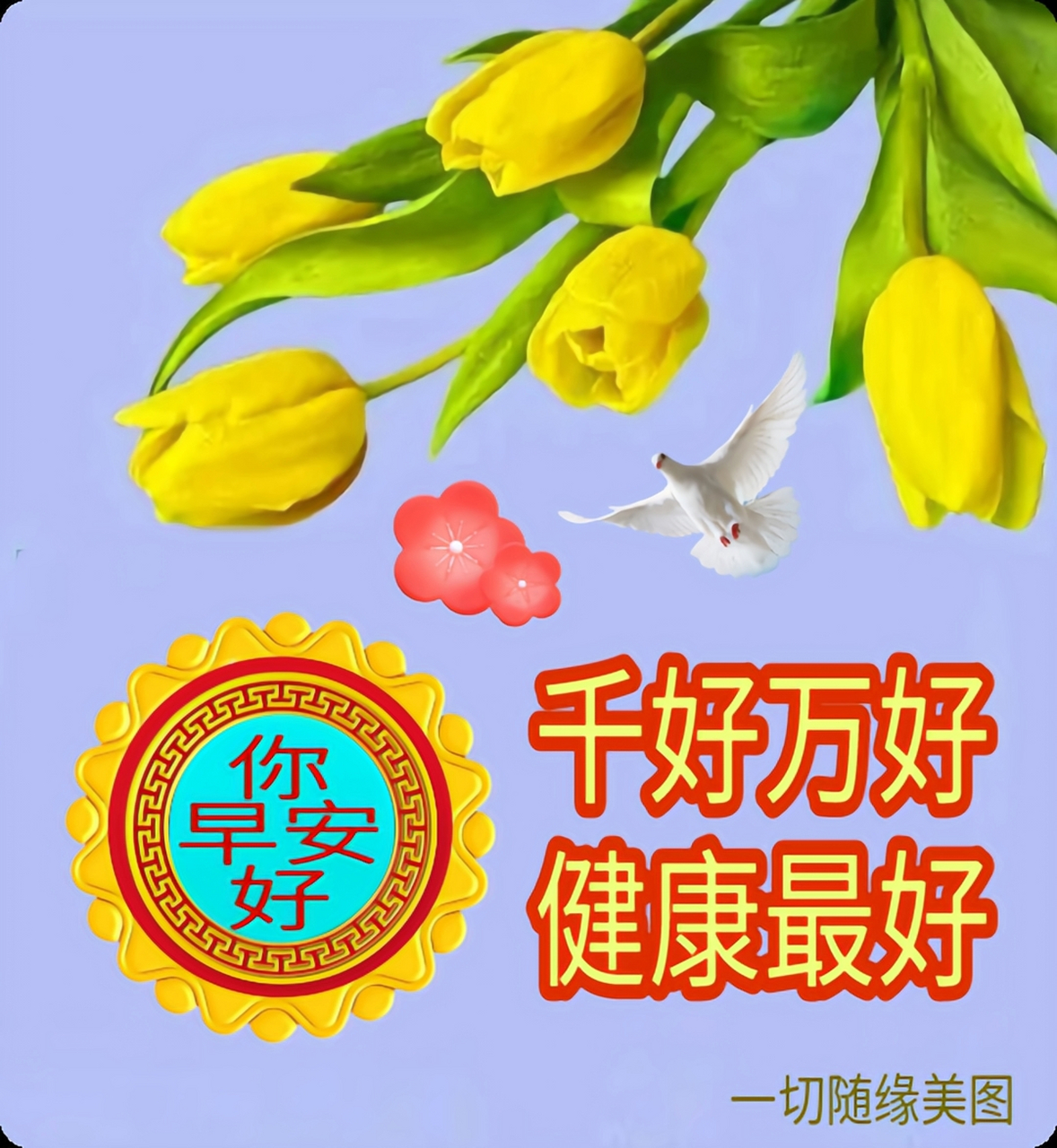 千好万好  健康最好   #热点引擎计划