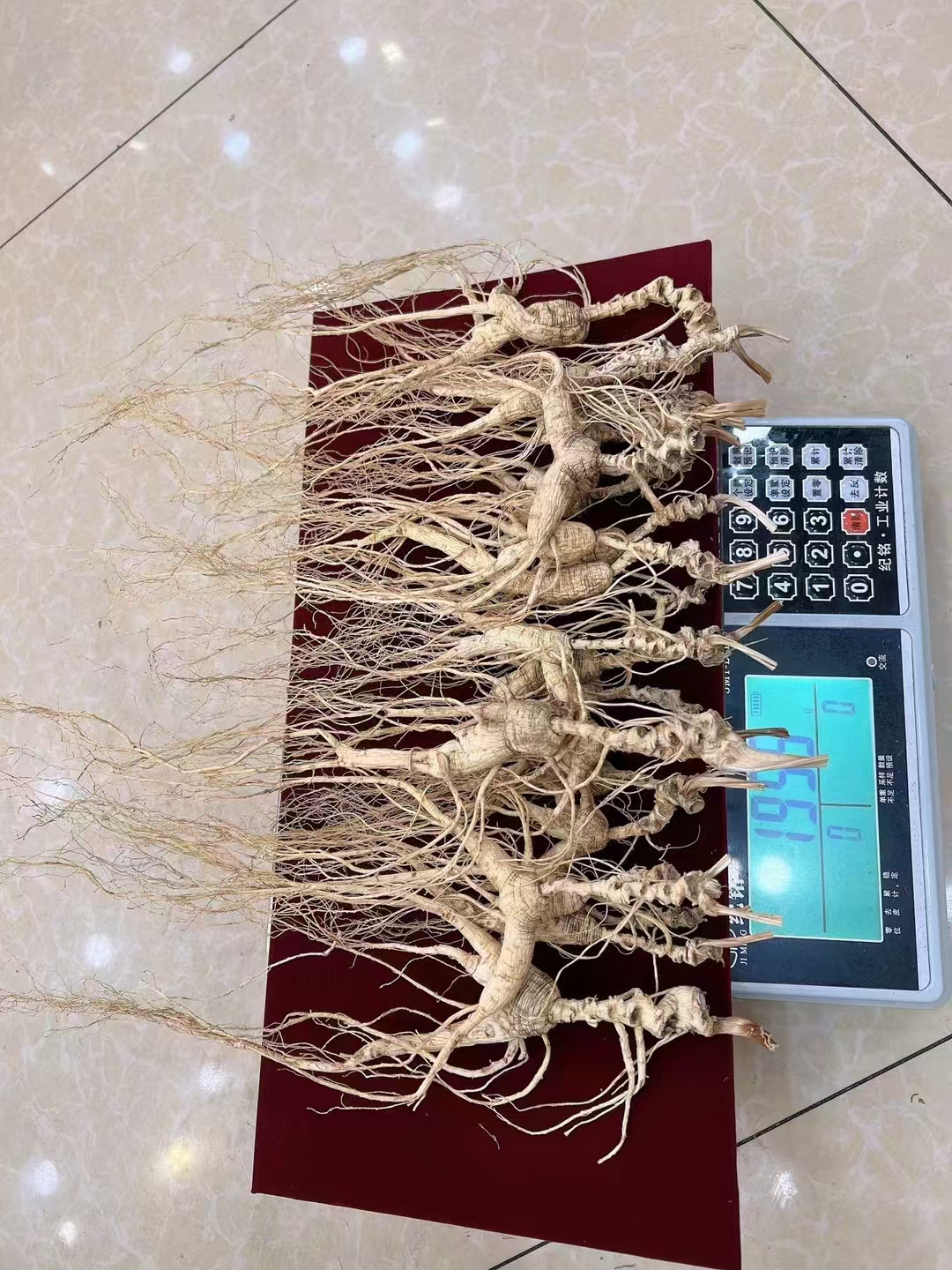 30多年老货,国检级,没有锈款,须毛好 属于完整款