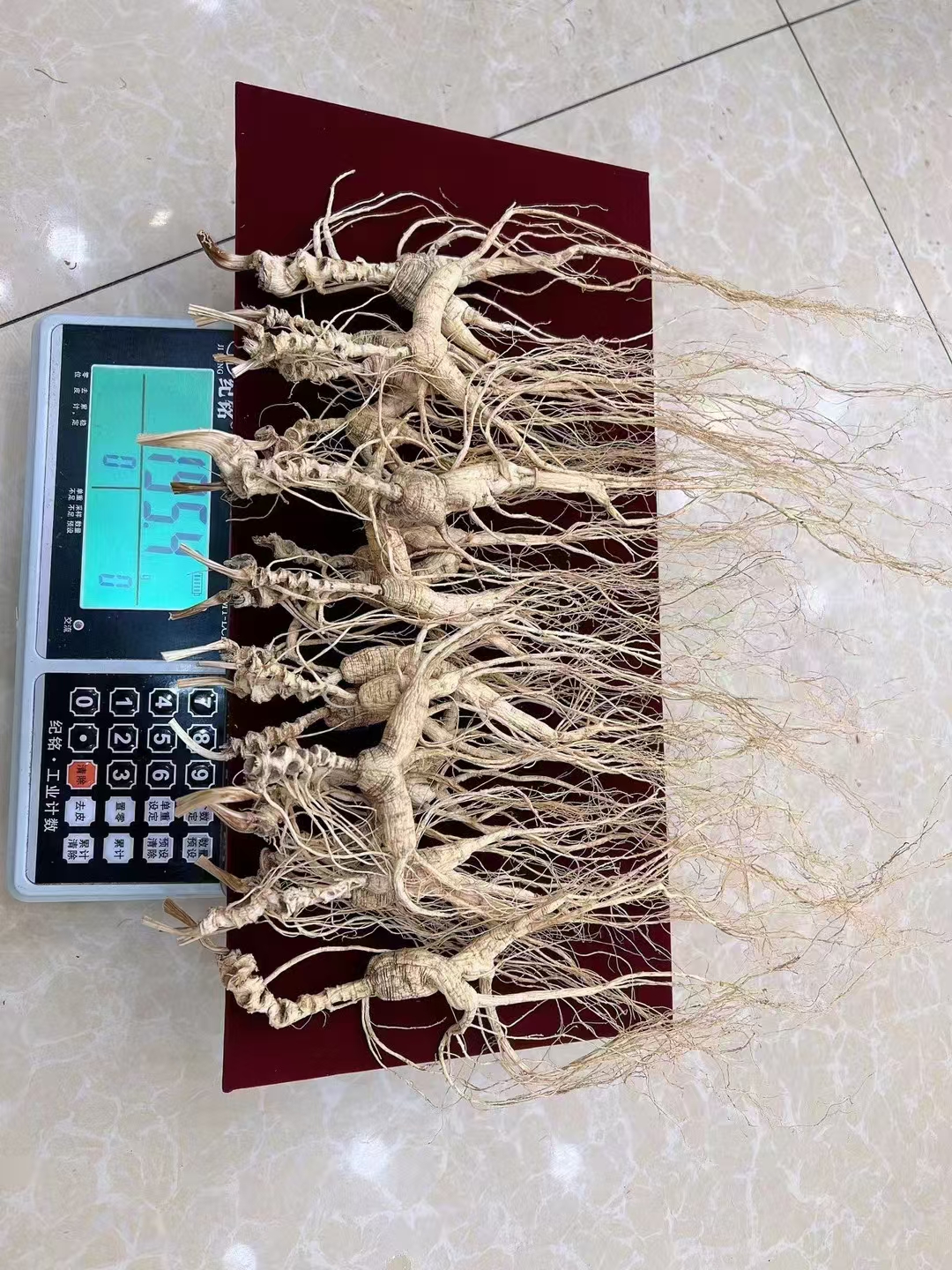 30多年老货,国检级,没有锈款,须毛好 属于完整款