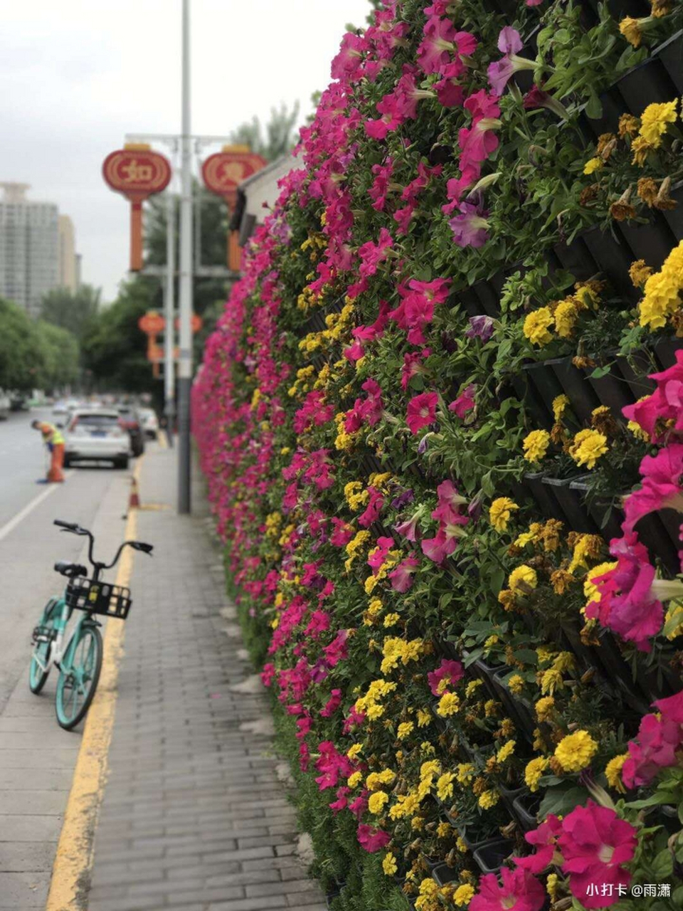 520之夜星光逸然璀璨