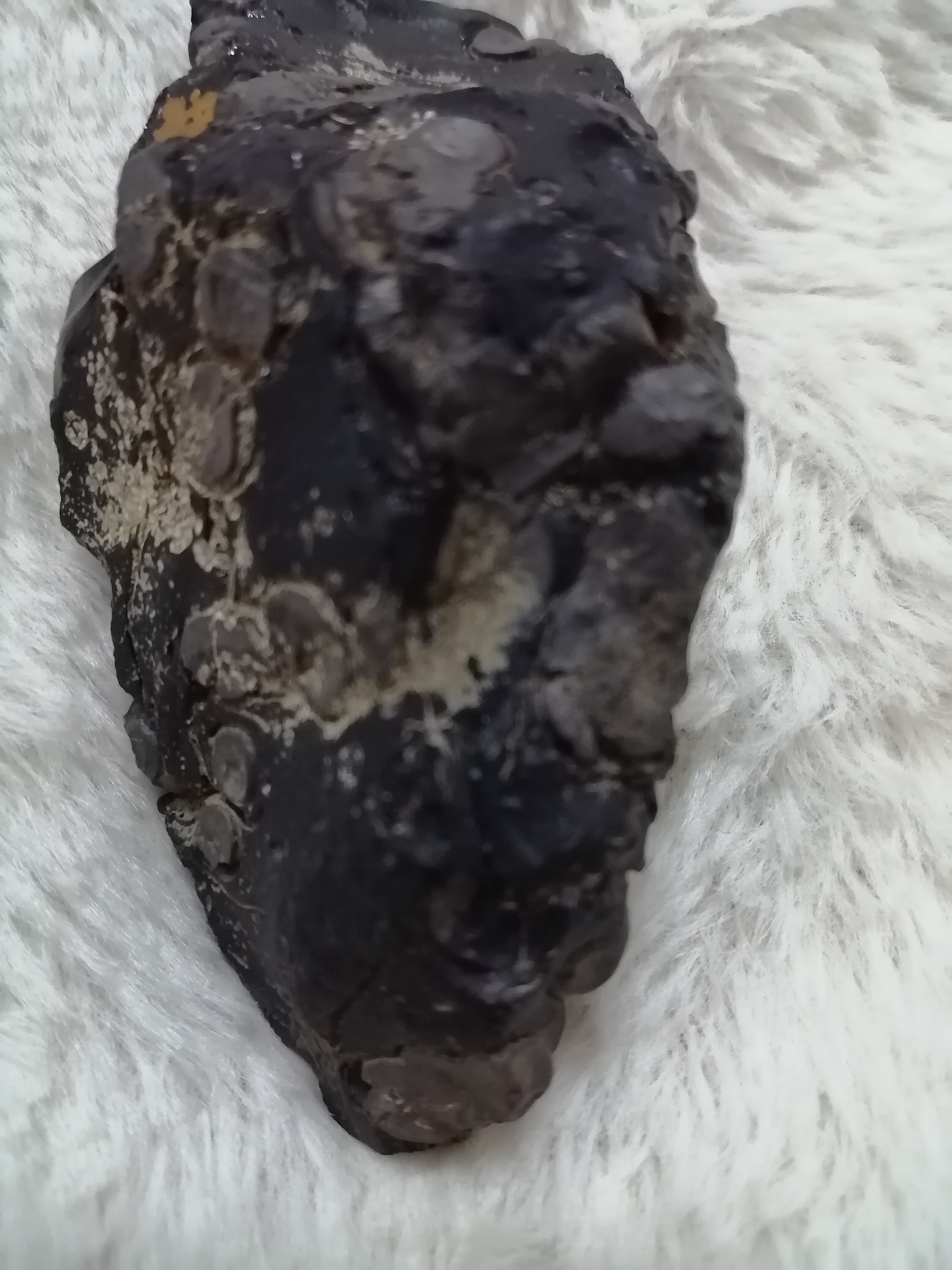 神秘的黑色玻璃陨石,承载着宇宙的秘密,引人深思.