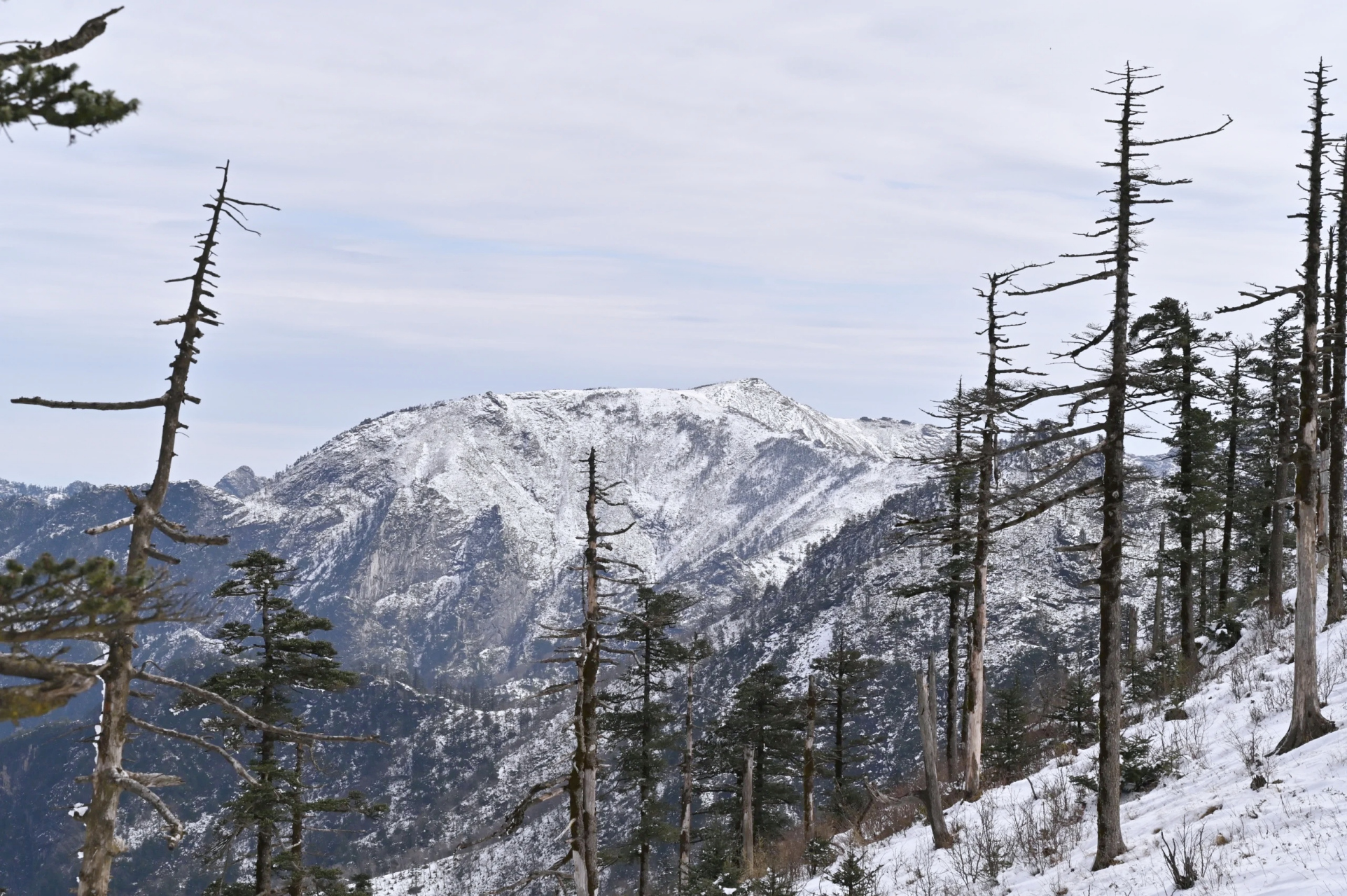 9015冬日的山景,美到让人窒息!