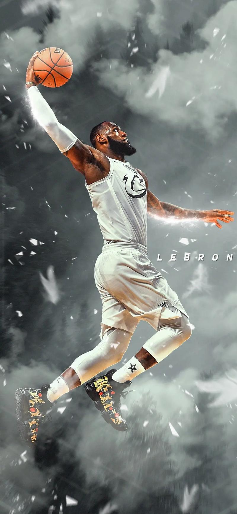 传奇之路:勒布朗·詹姆斯的篮球史诗