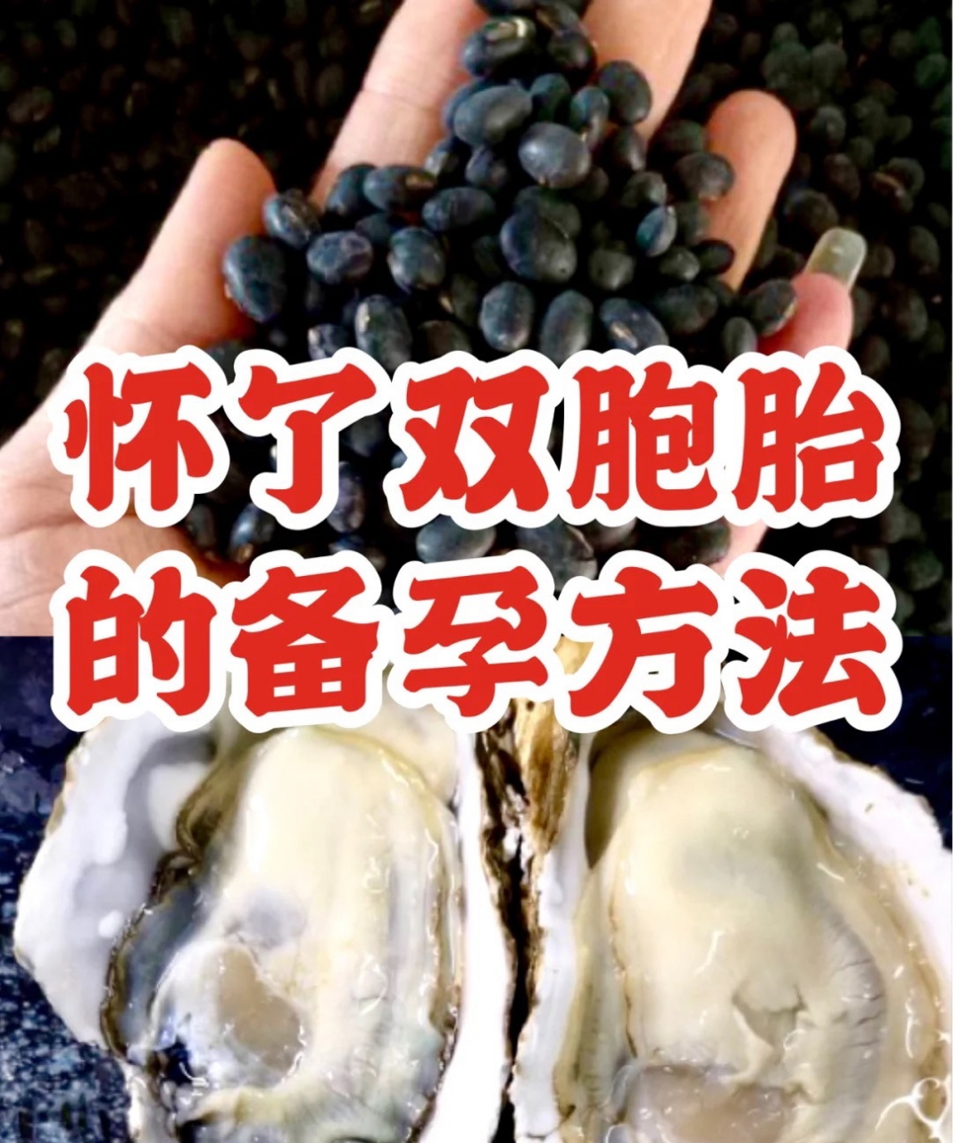 备孕龙凤胎成功经验(备孕龙凤胎前准备什么)