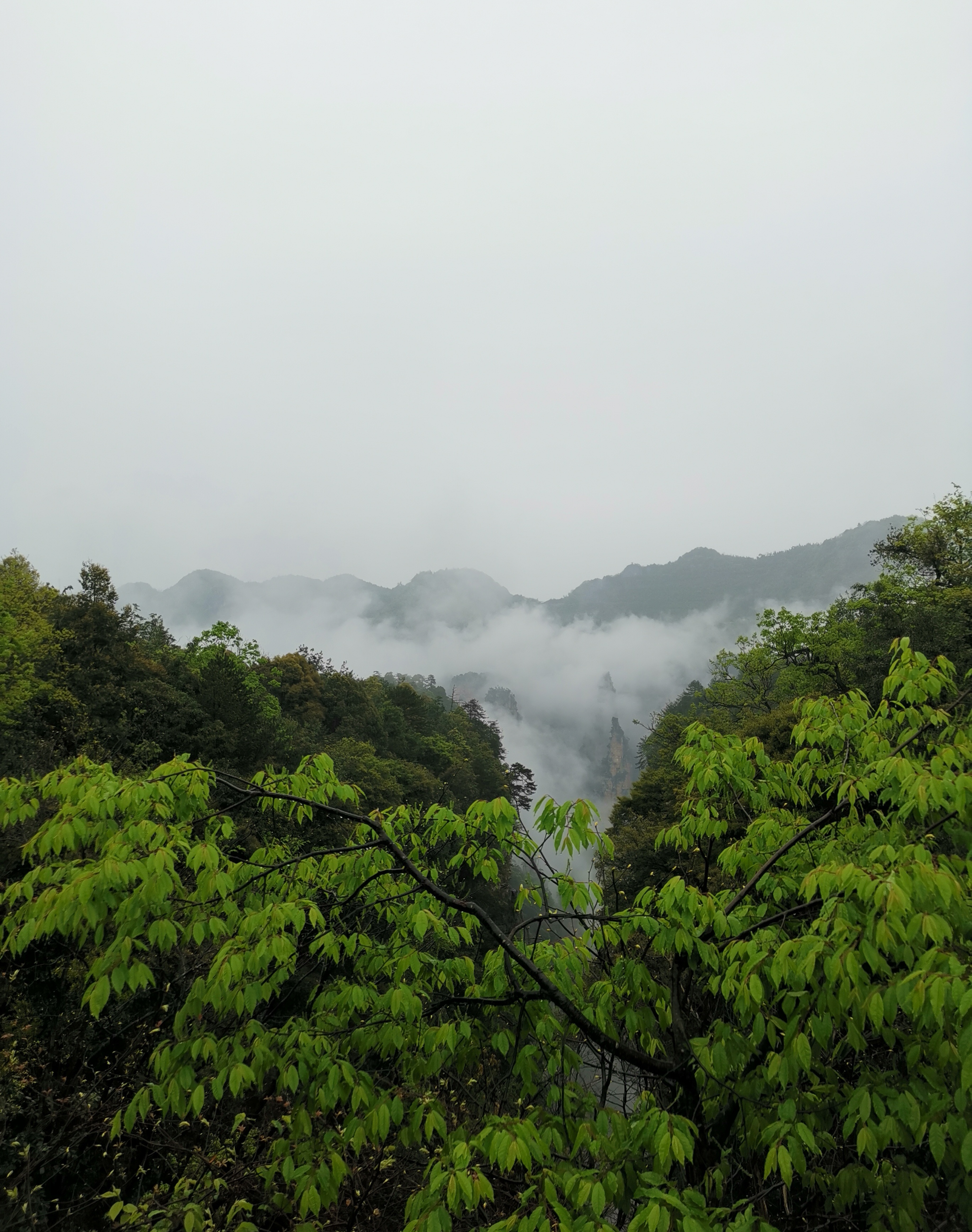 泥巴山两重天风景图片图片