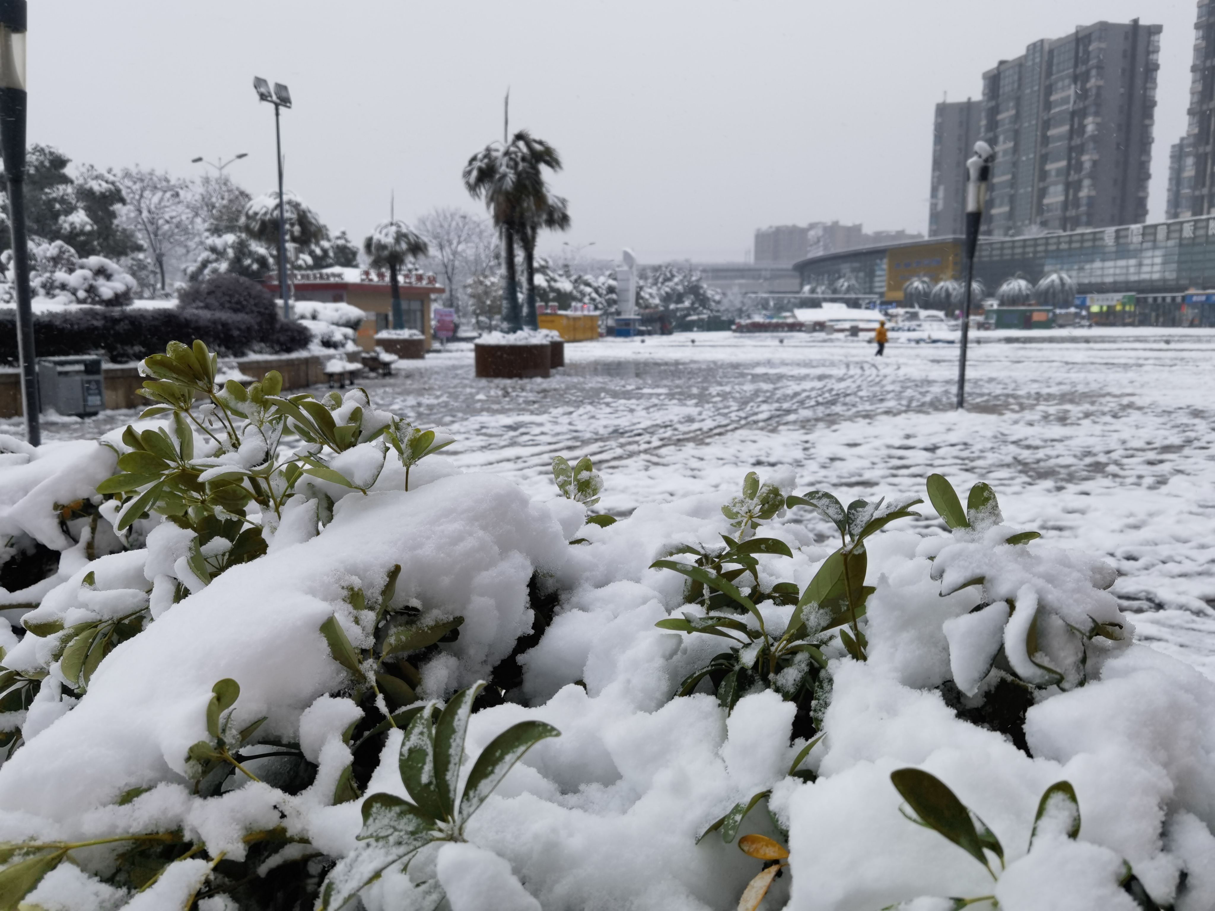 湖南长沙雪景图片