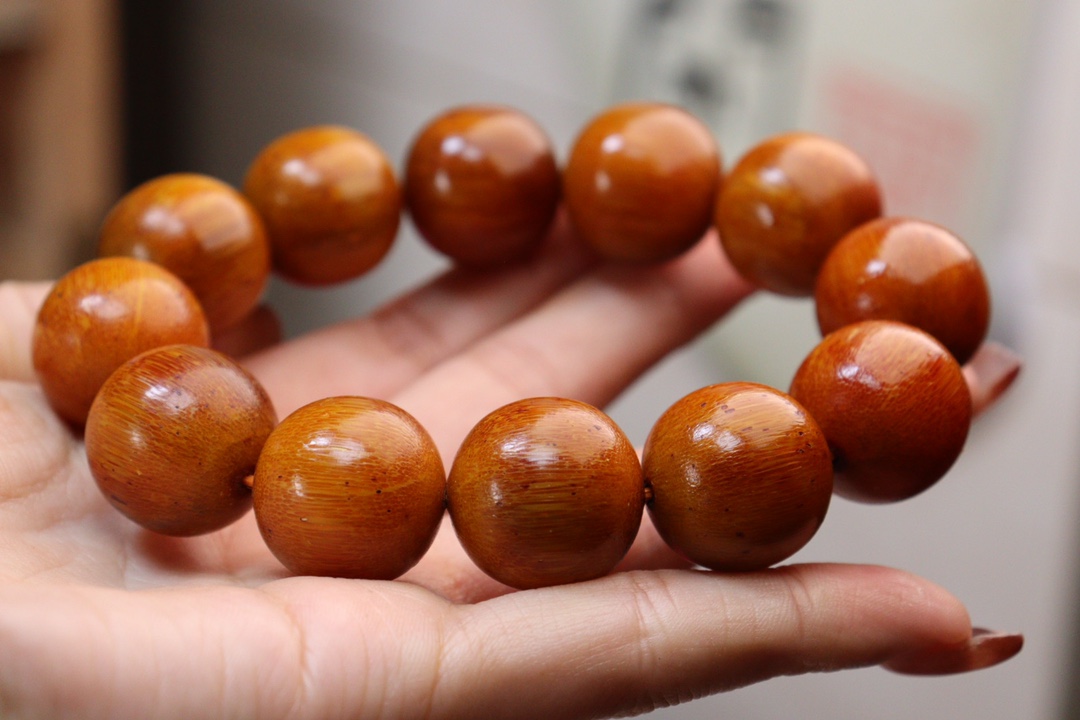 金皮亚亚小牛角#文玩