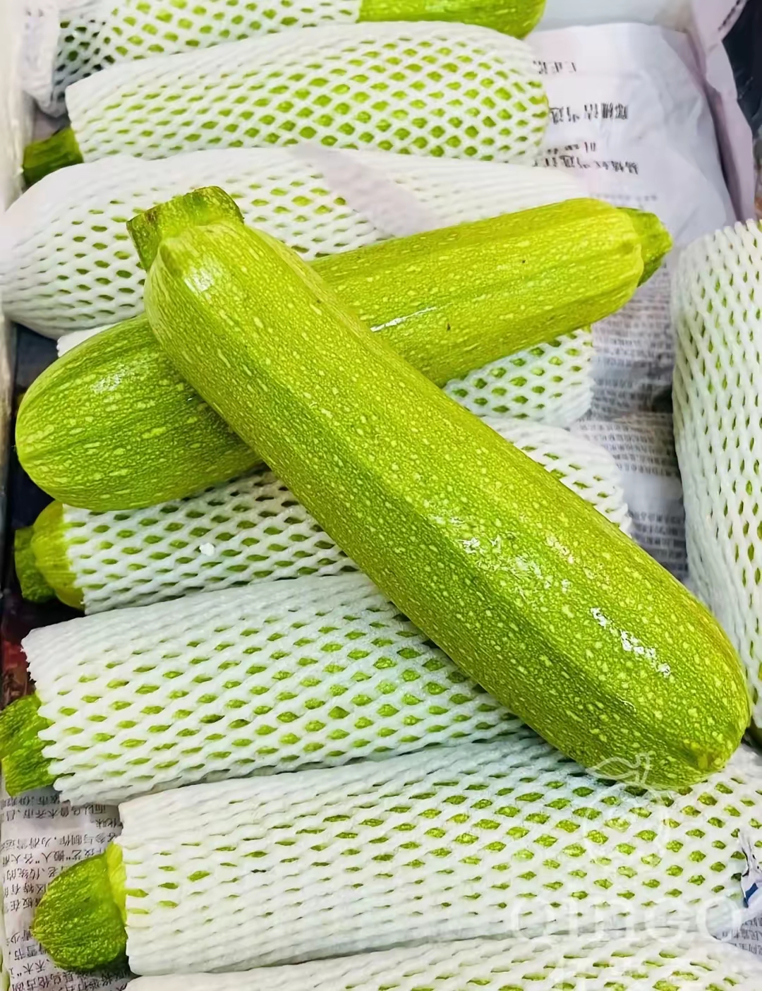 炒西葫蘆有沒(méi)有毒