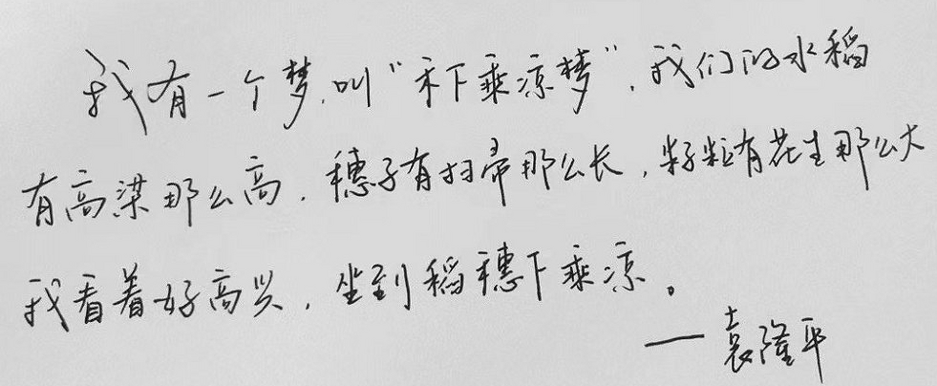 禾下乘凉梦