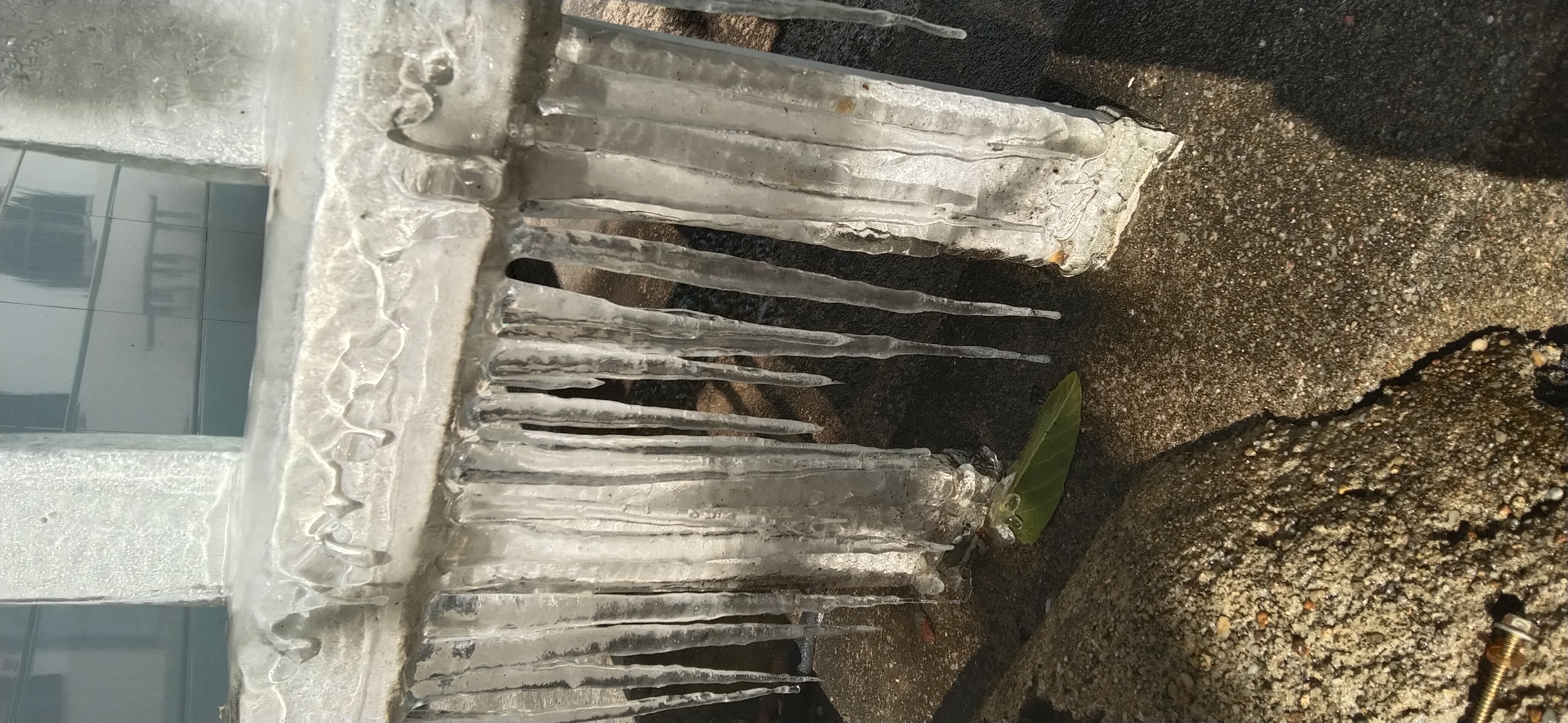 我还记得小时候踏着小河渠冰上小学的情况.