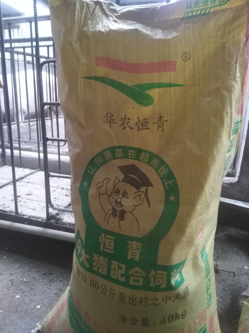 每顿喂华农恒青饲料一口不吃,再喂正大饲料猪才吃,销售经理说我没有