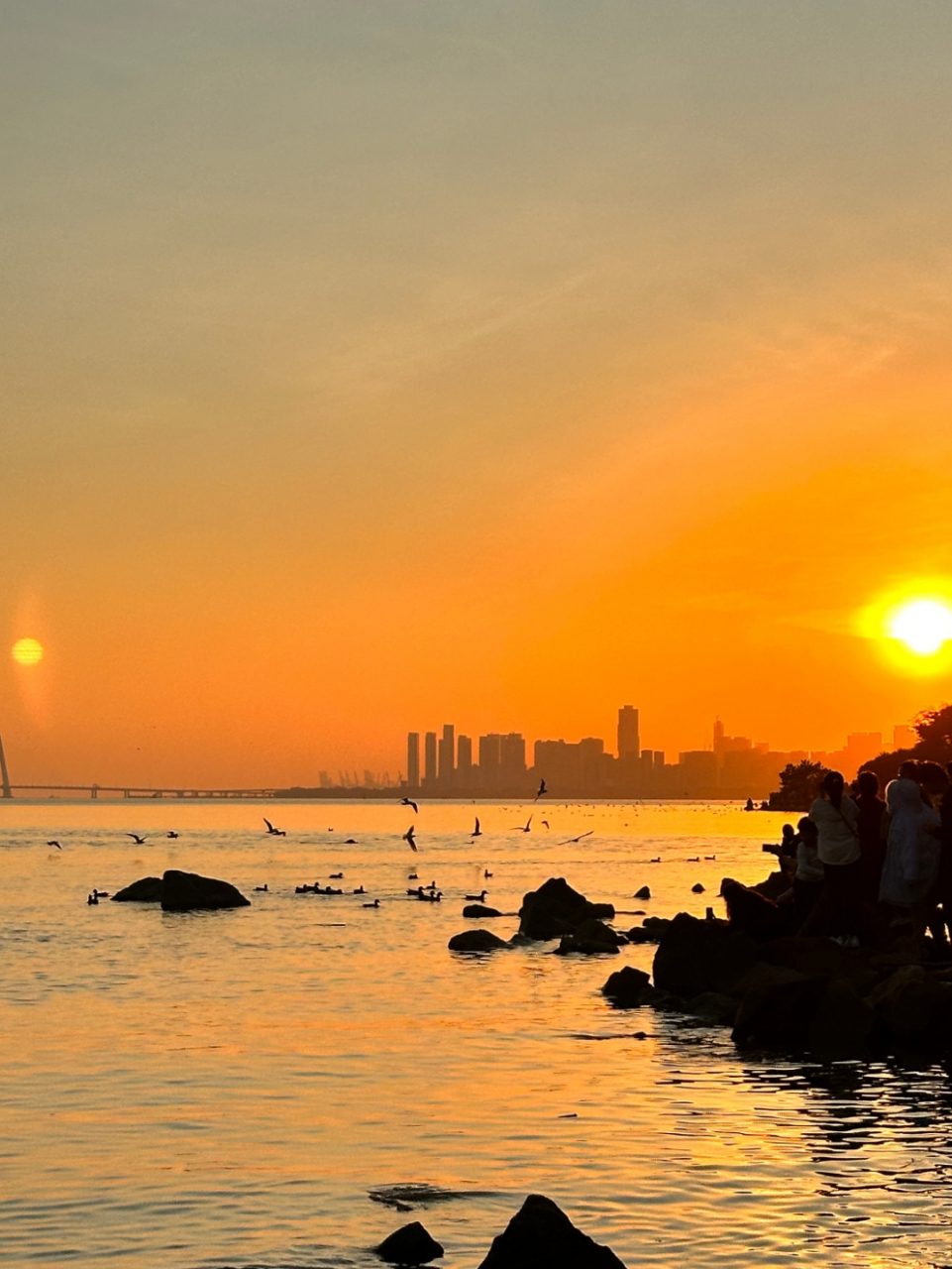 好漂亮的夕阳红!