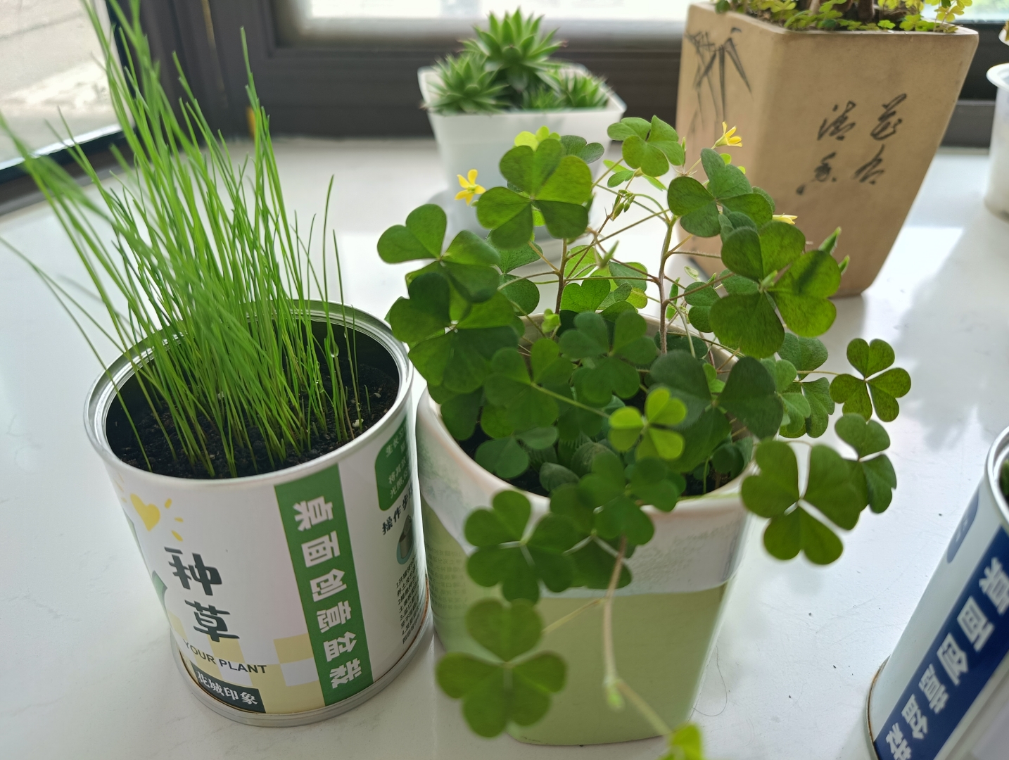 旱地拔葱! 汉帝拔草!