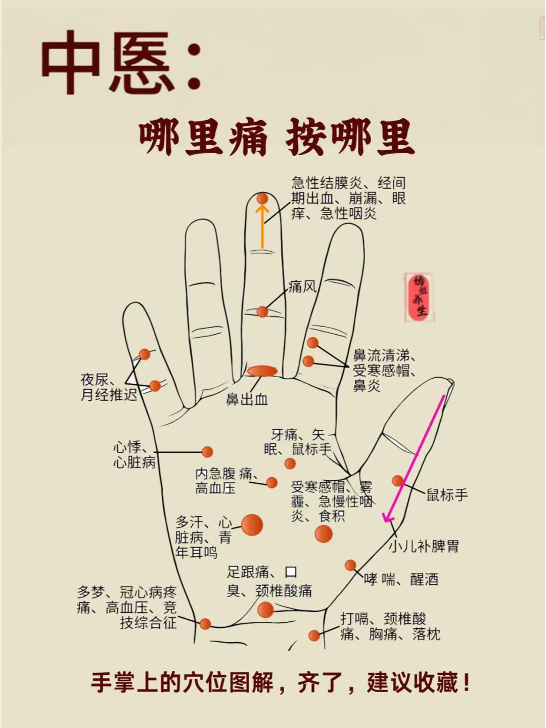 其实手掌上藏着超多穴位,按摩一下就能缓解很多问题呢!