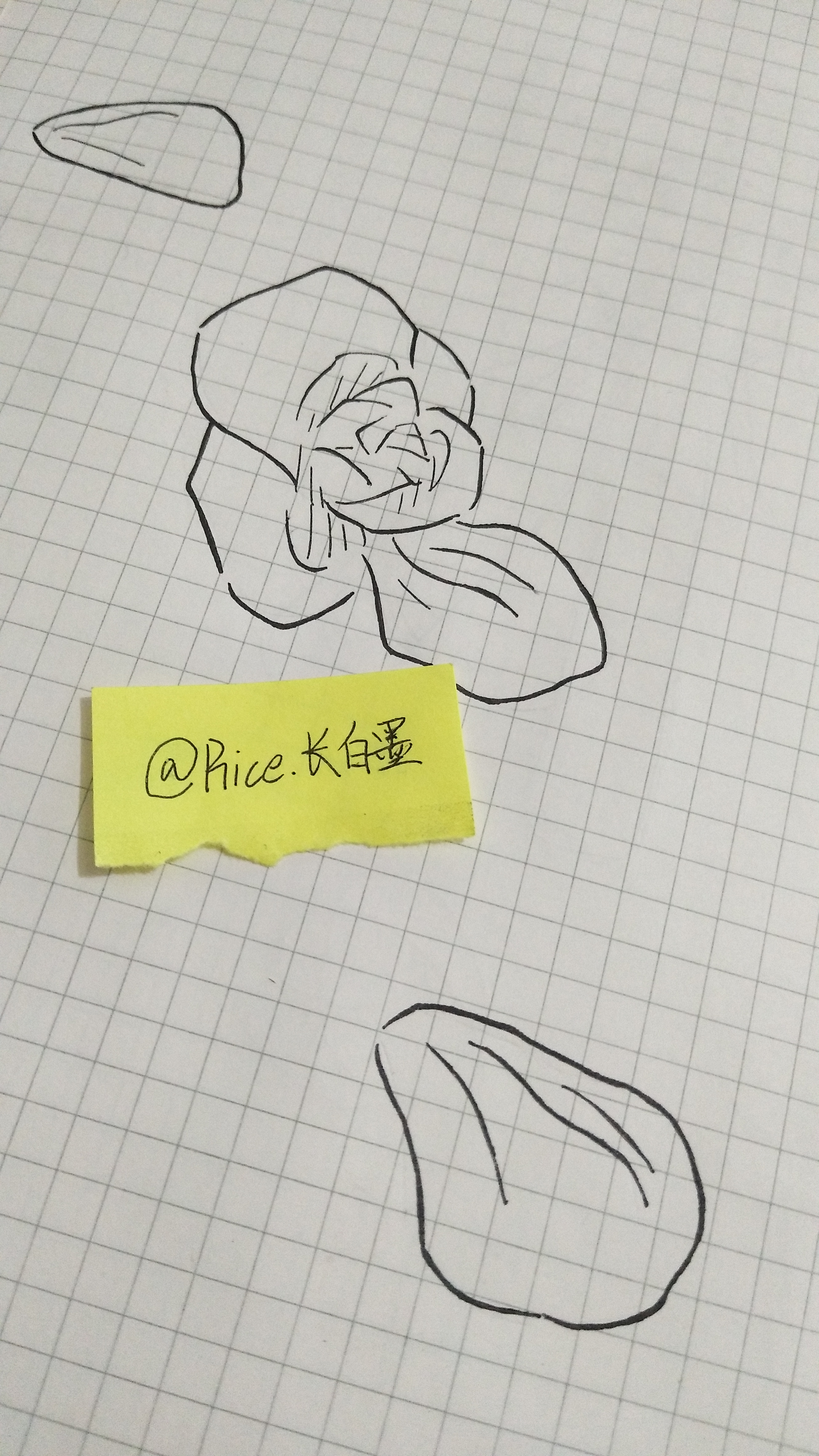 接设(图为模板,手绘线稿),35r一张,可要求用纯白本子或a4纸,开学了也