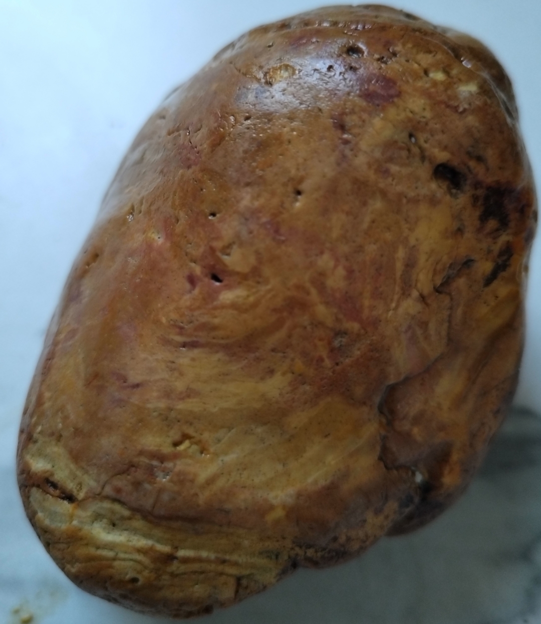 独有的一枚金丝楠木化石!