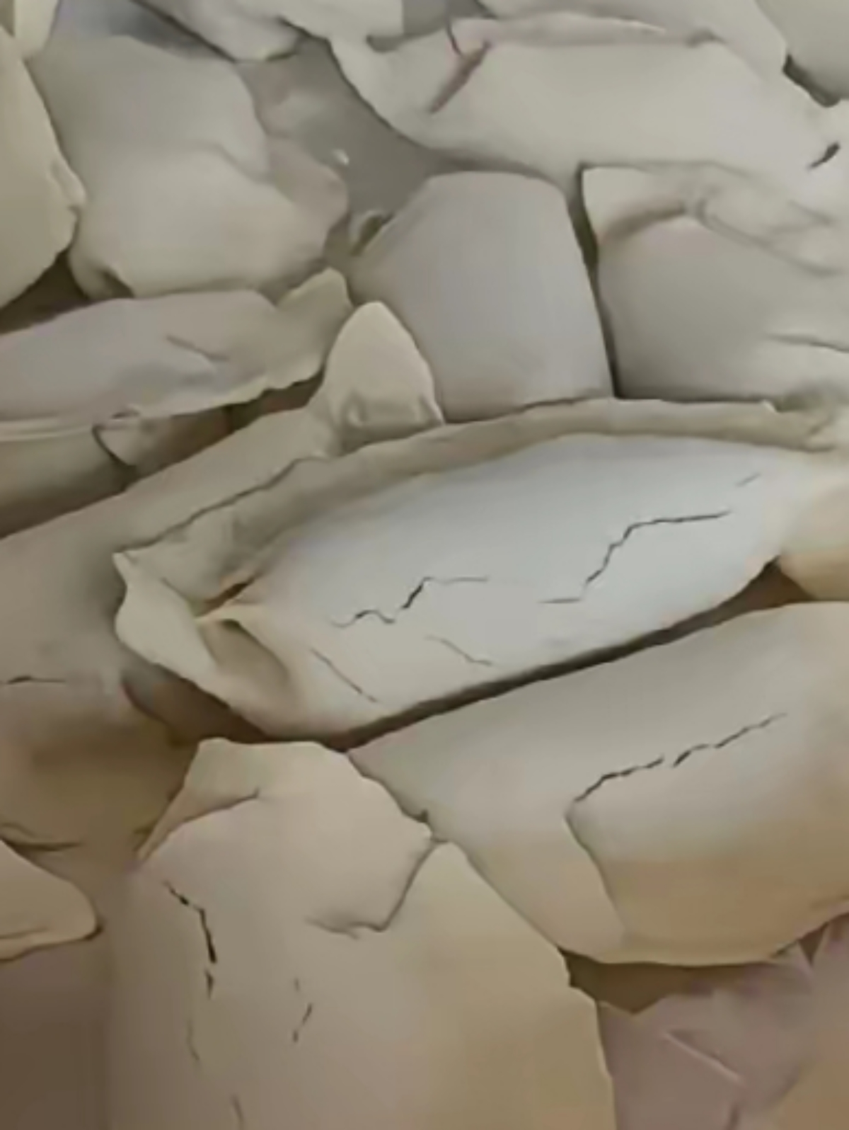 我想来想 饺子化冻图片坏的饺子坏了饺子破损的图片大全水饺发霉