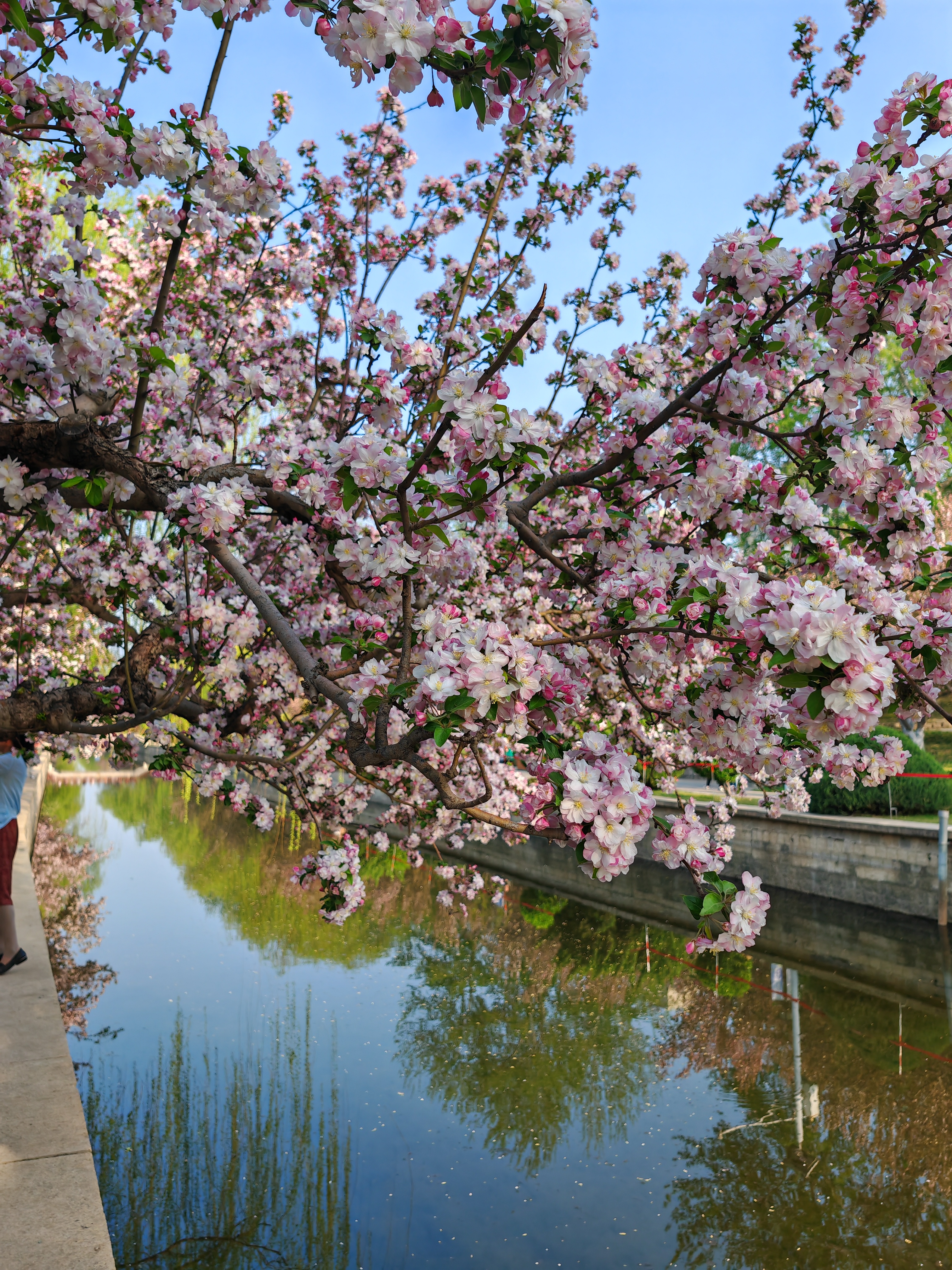 北京海棠花溪简介图片