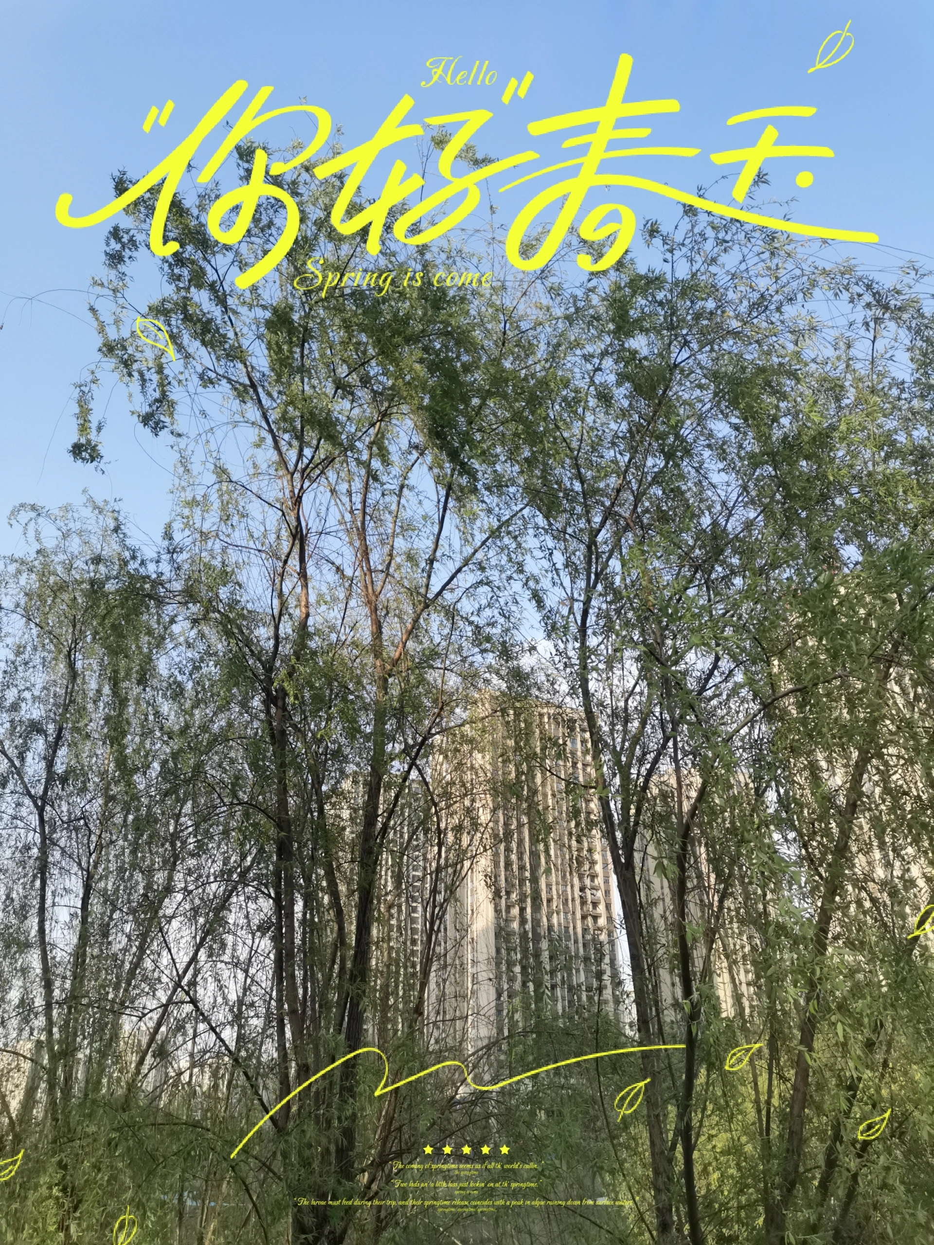 白云遇清风 暖阳撞满怀 春来百花开 百花娇灼灼 玉柳诉新意 红紫赤橙