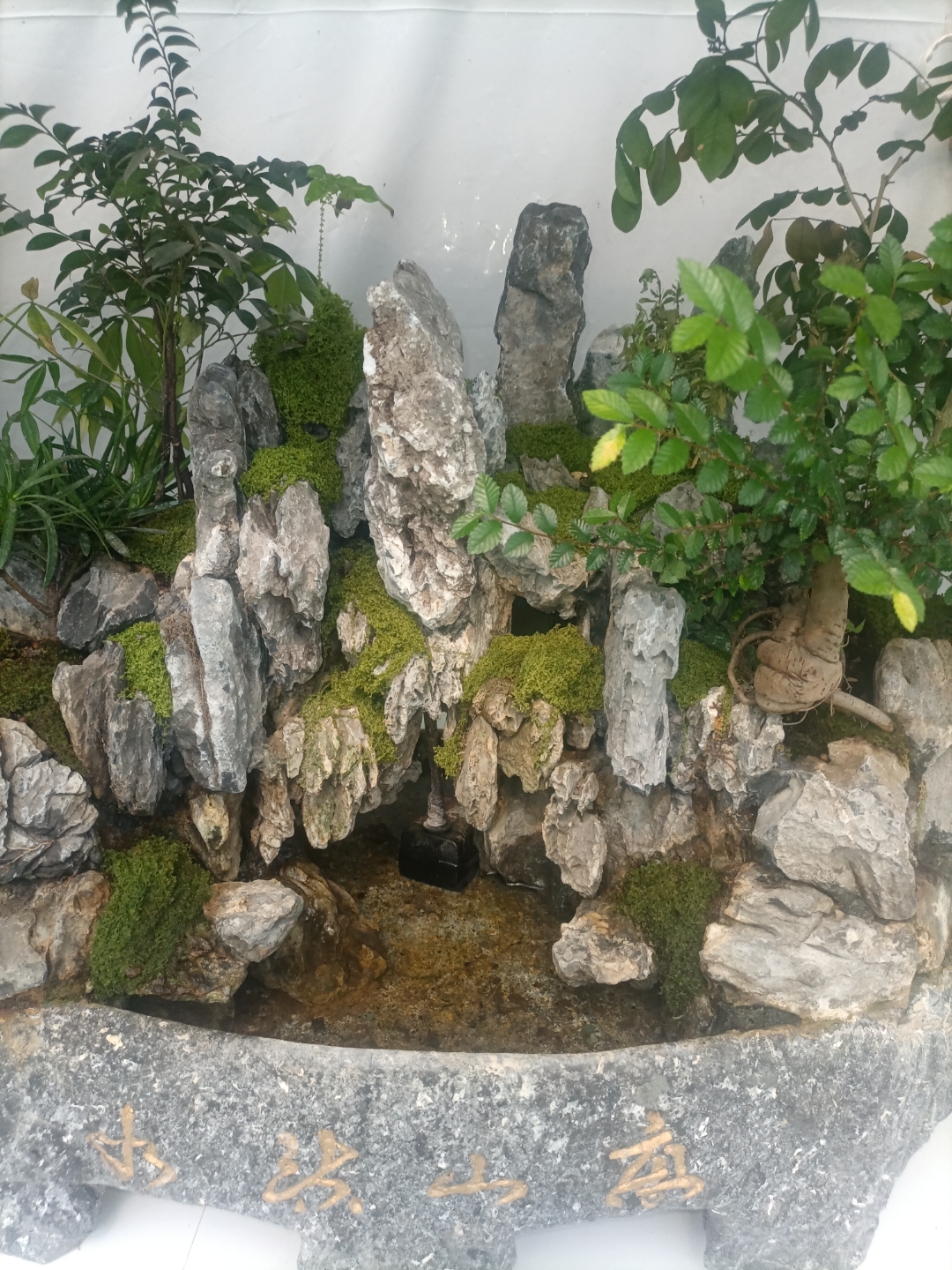 石头间的小水池,水流潺潺,仿佛能听到大自然的呼吸声