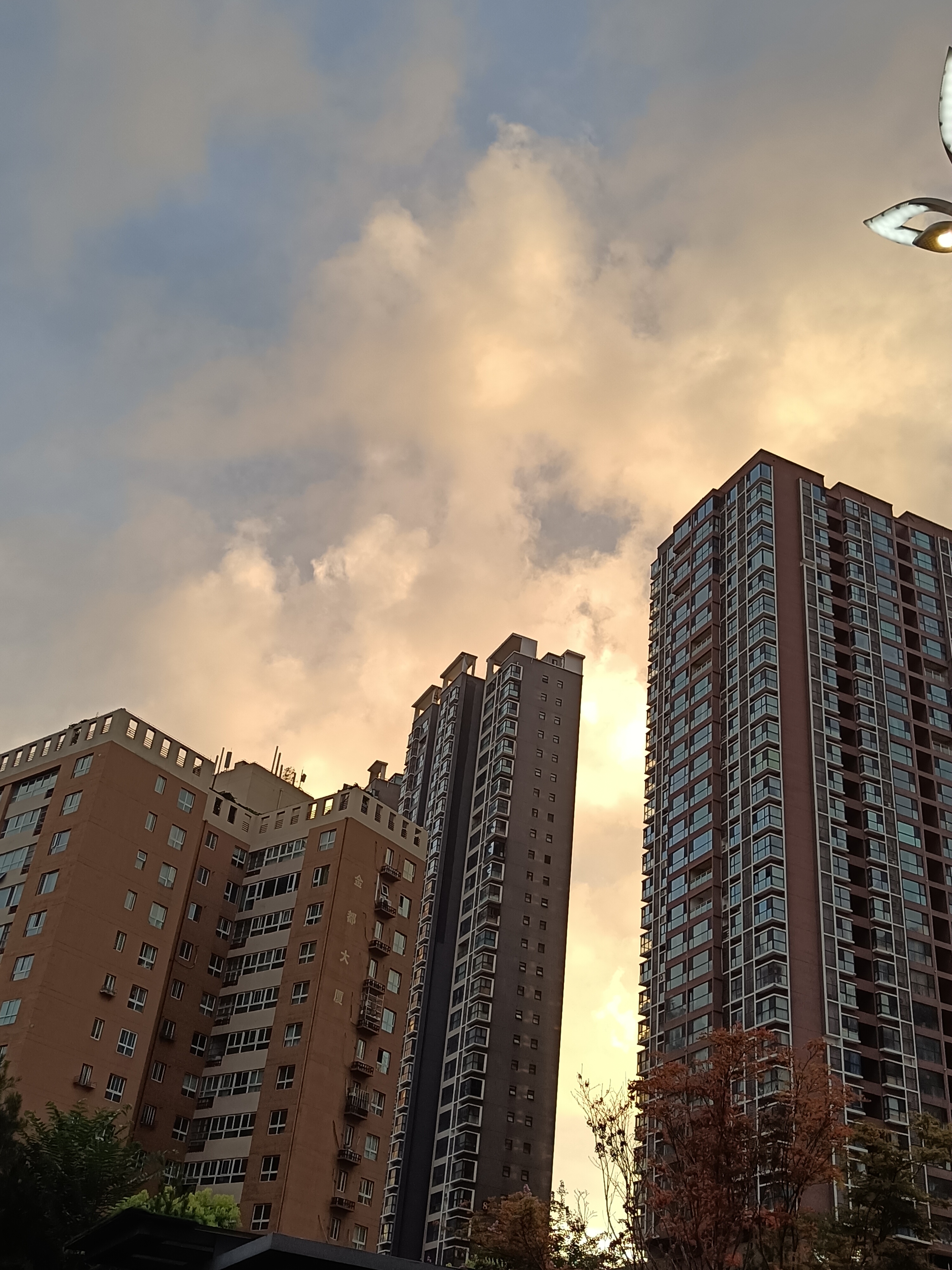夕阳下的城市剪影,高楼大厦,静谧美好.