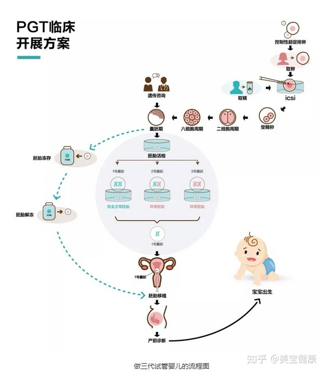 自然受孕和试管婴儿区别(自然受孕和试管婴儿区别大吗)-第2张图片-鲸幼网