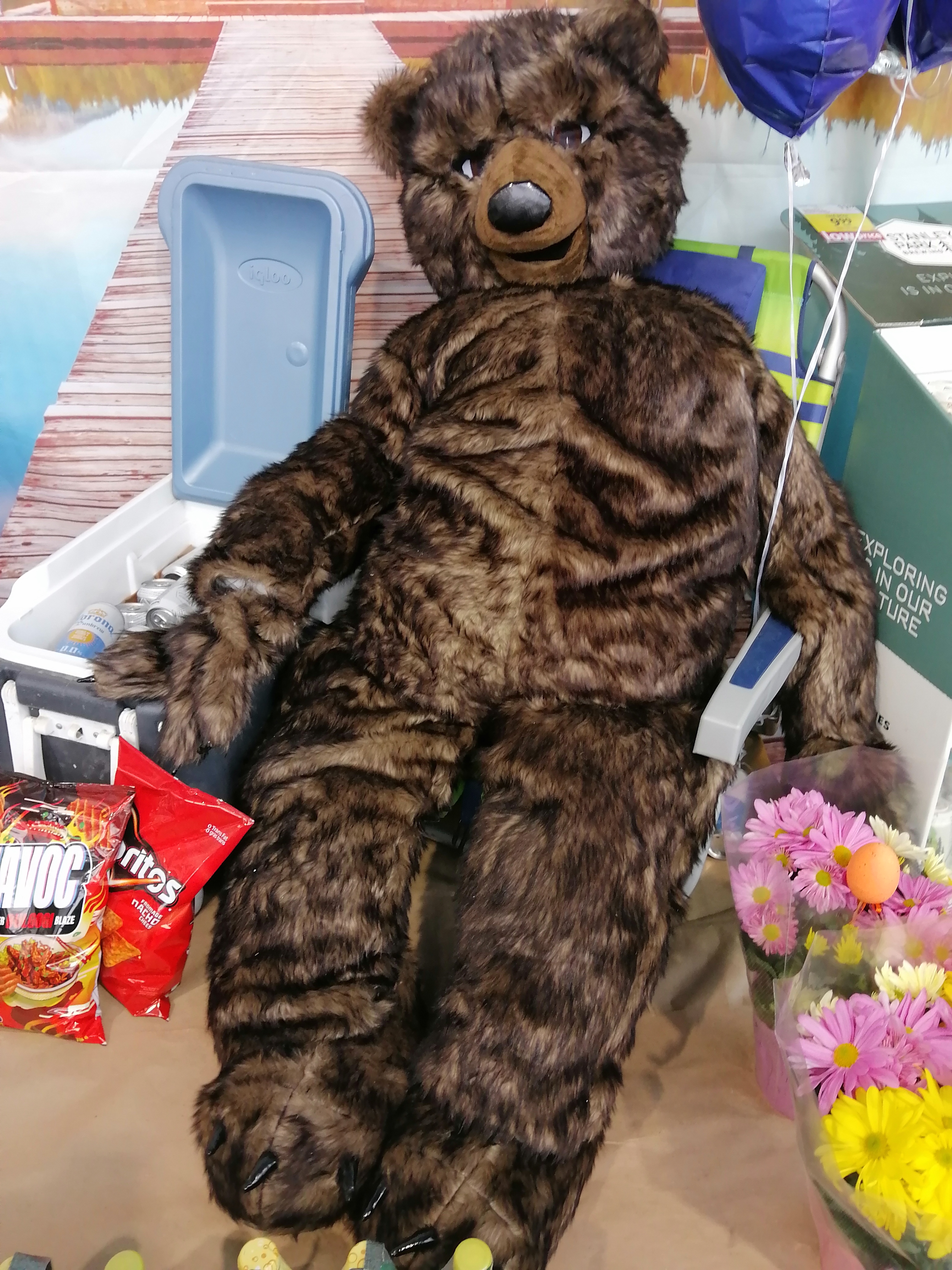 大地风光— 春风吹又生,翠微泛芬芳; 春风吹又生,还有冬眠熊