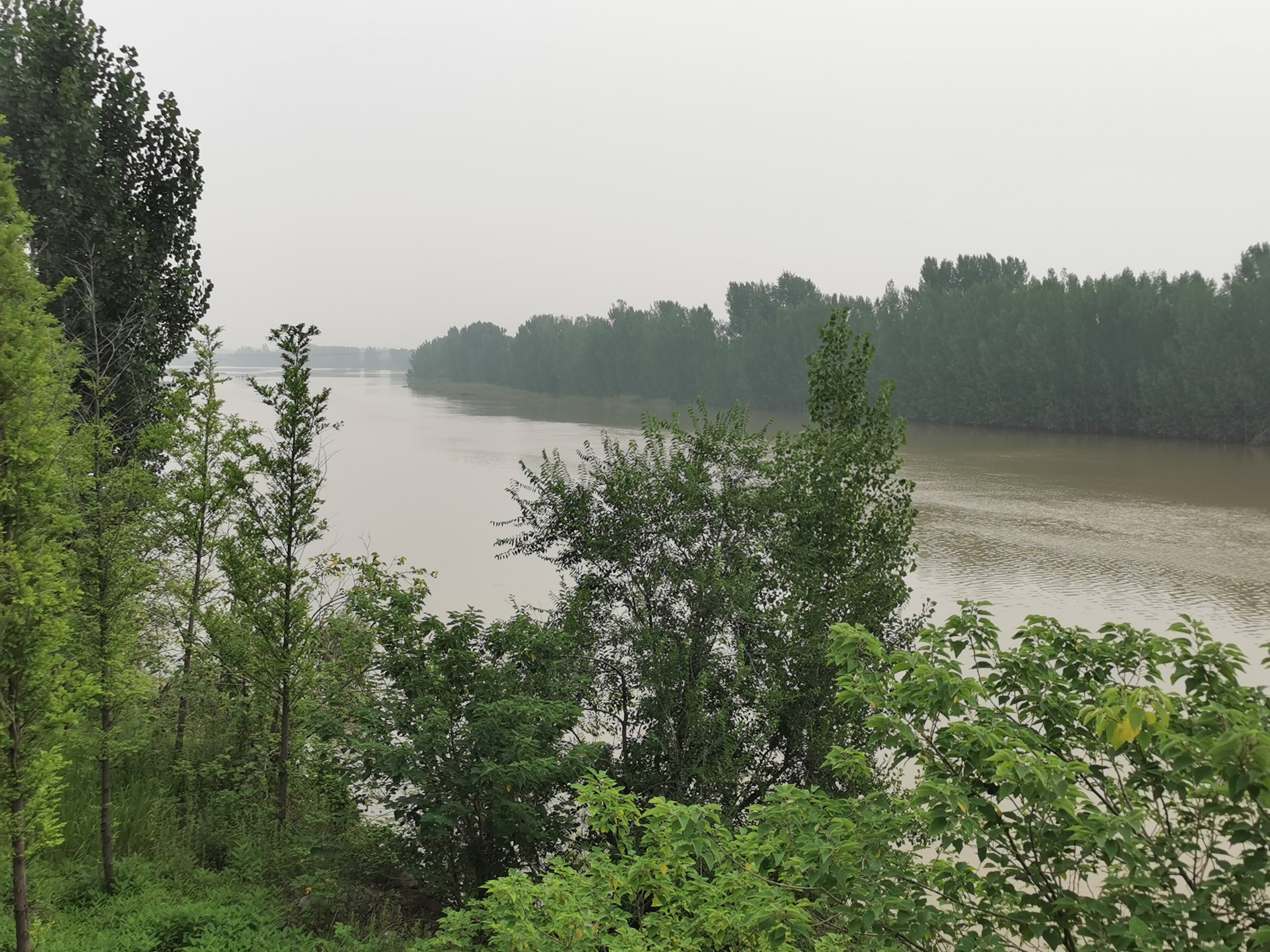 "  两水汇流处的泗水上修有金口坝,始建