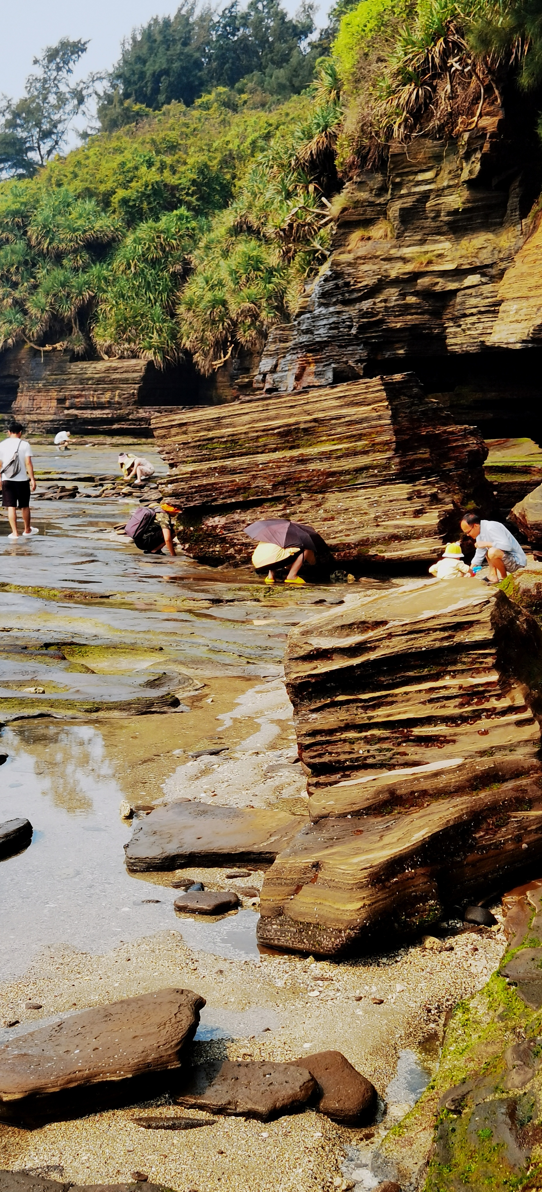涠洲岛五彩滩 ​ ​火山石叠层层岩 浪花轻抚芝麻滩 一洼一洼潮退