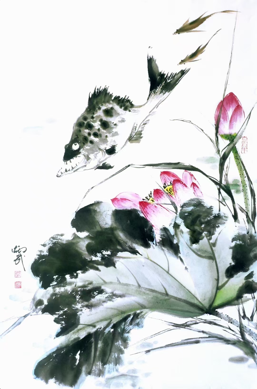 《荷花·鳜鱼》