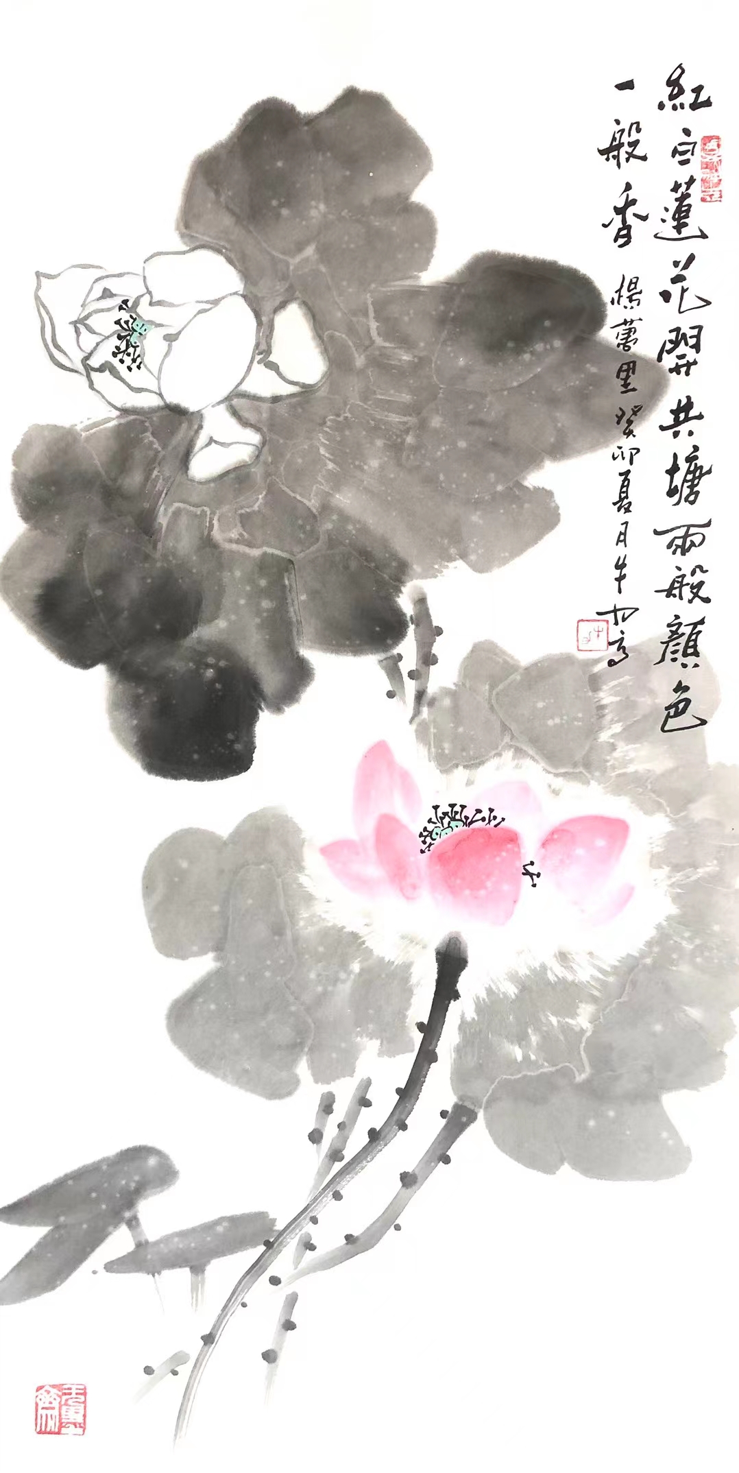 红白莲花开共塘, 两般颜色一般香.           ——杨万里