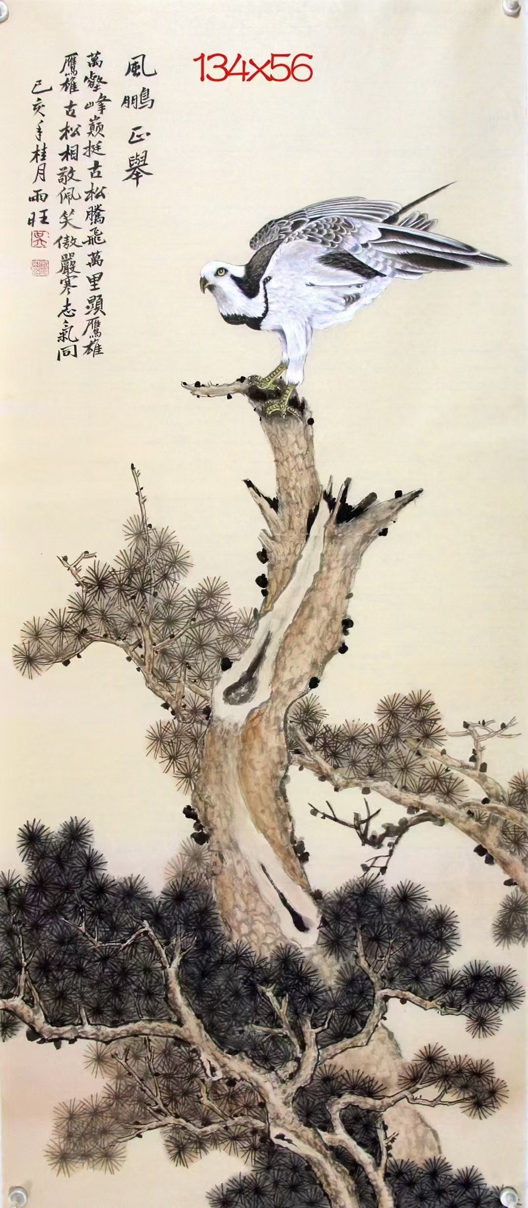 吴雨旺,男.江苏连云港人,职业画家,1964年生,市美协会员