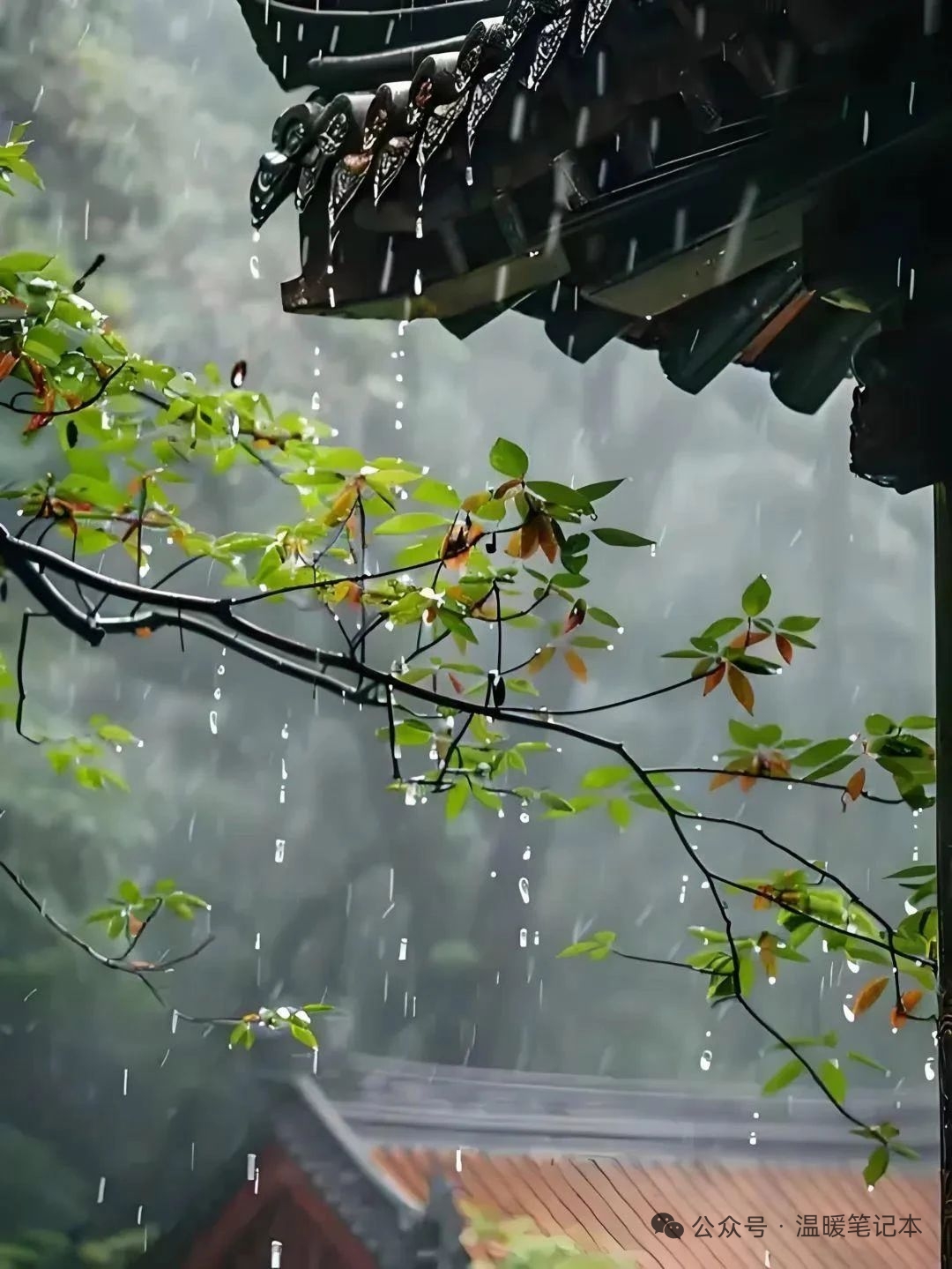 雨霖铃·山居听雨