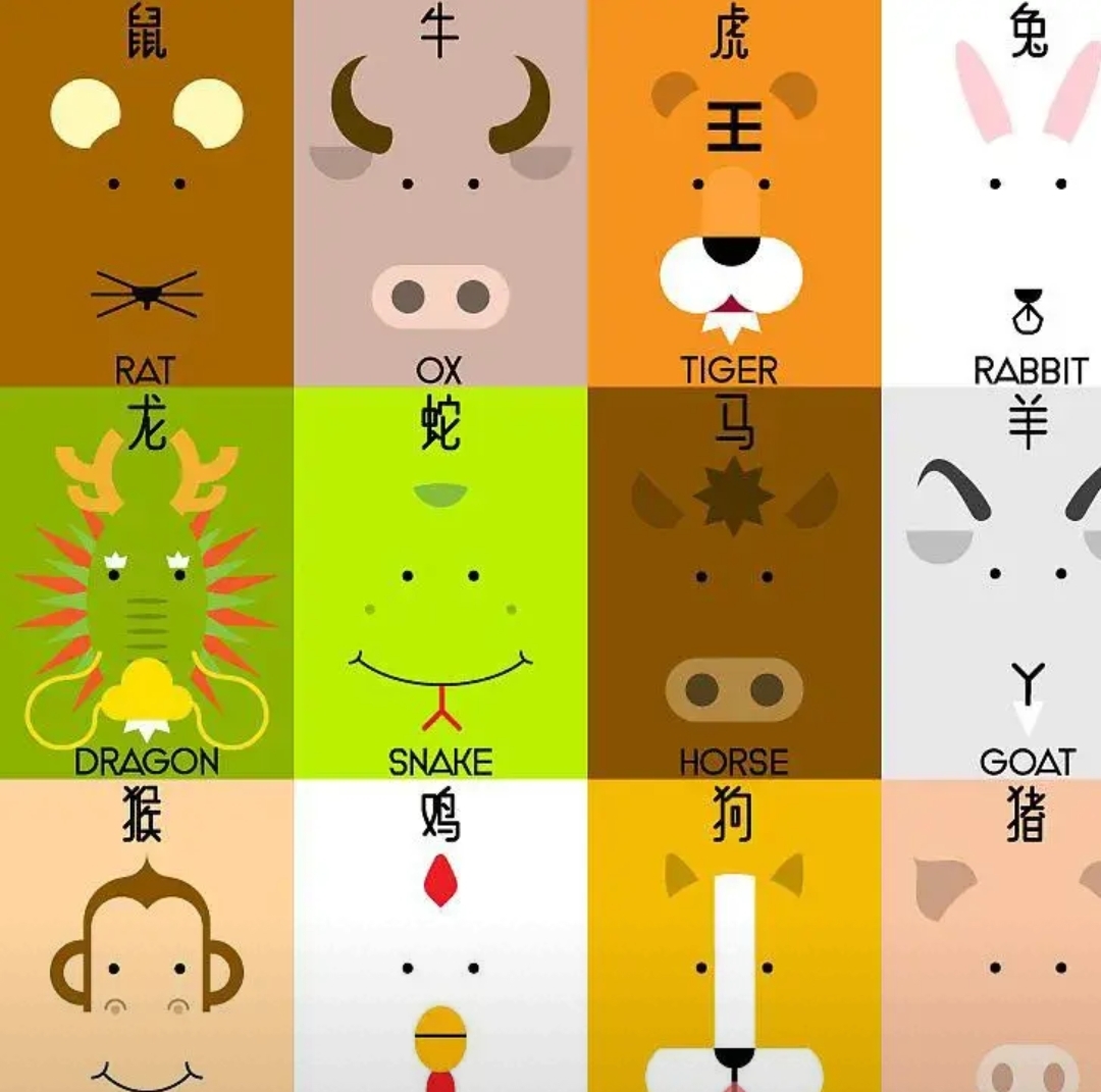 生肖财运运势图表图解女(生肖财运运势图表图解女生)