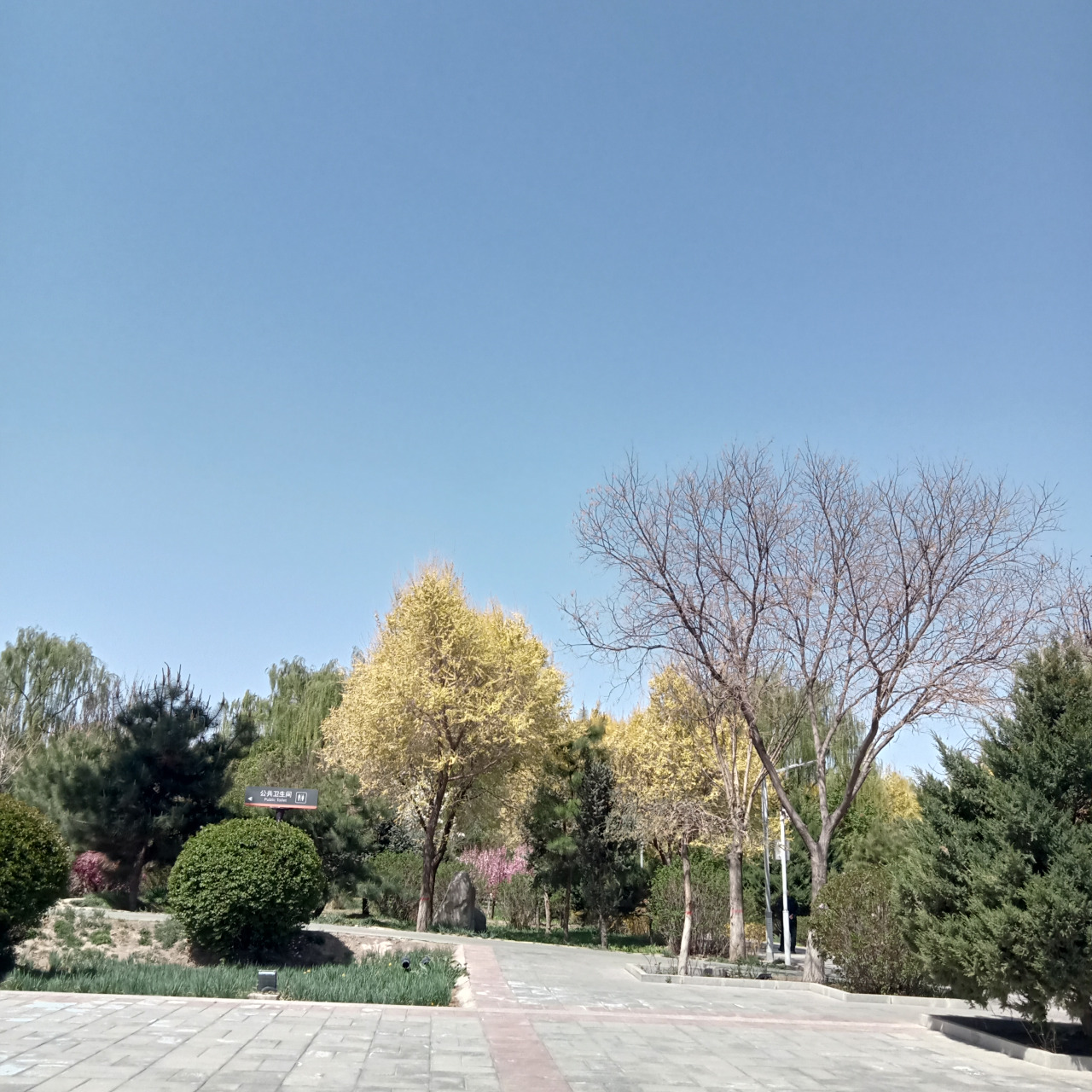 武威市核桃园美丽景色