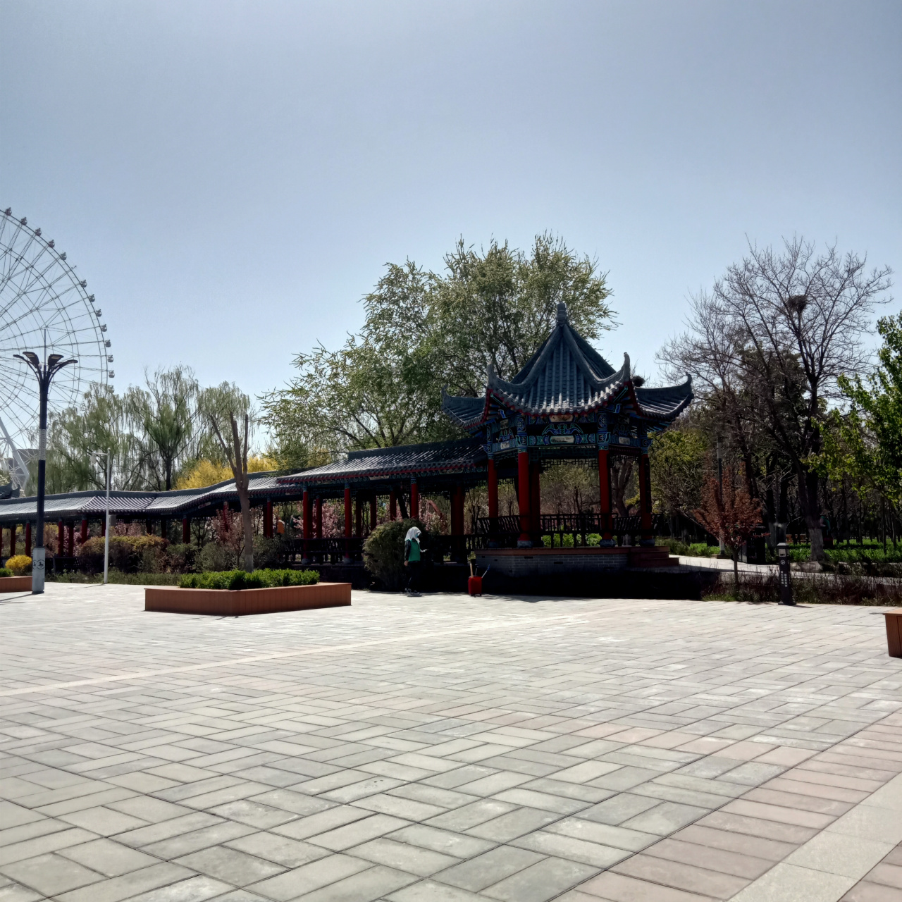 武威市核桃园美丽景色