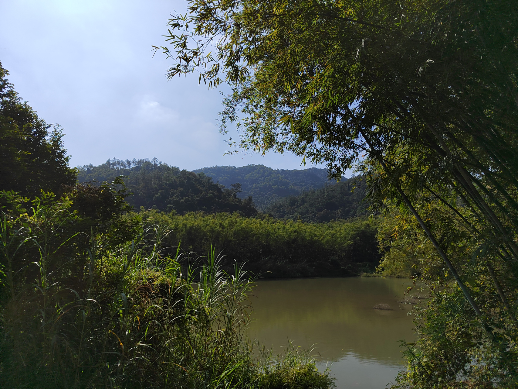 深藏在五桂山的和平村,四面众山环拥,层峦叠嶂,绿意盎然,如林中绿岛.