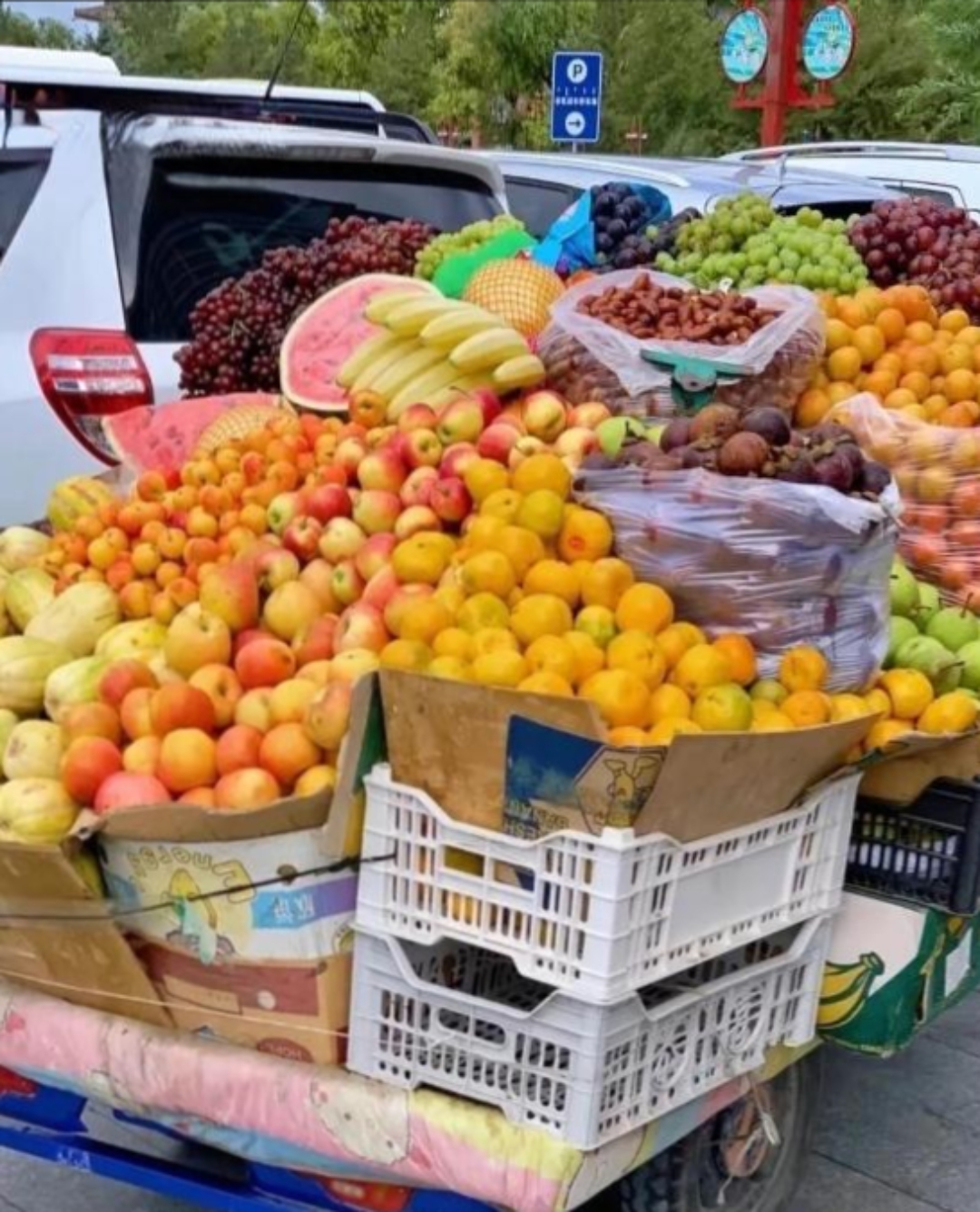 那一车水果配色简直绝了,看着就特想买,这摊主太会搭配了,感觉水果都