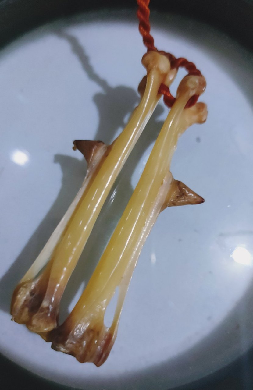 盘了一周的鸡腿骨