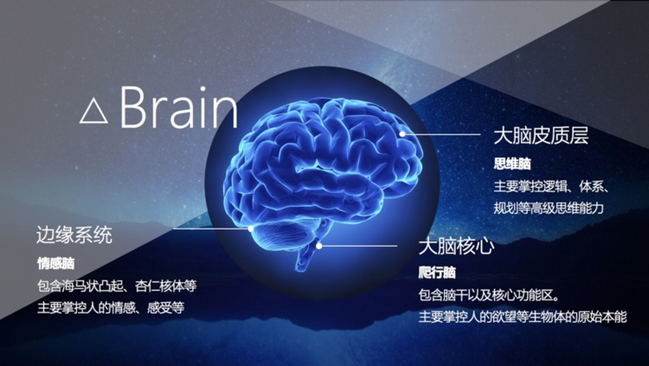 第一个:叫爬行脑,又称原始脑,爬行脑位于大脑的最里层,是最古老的一