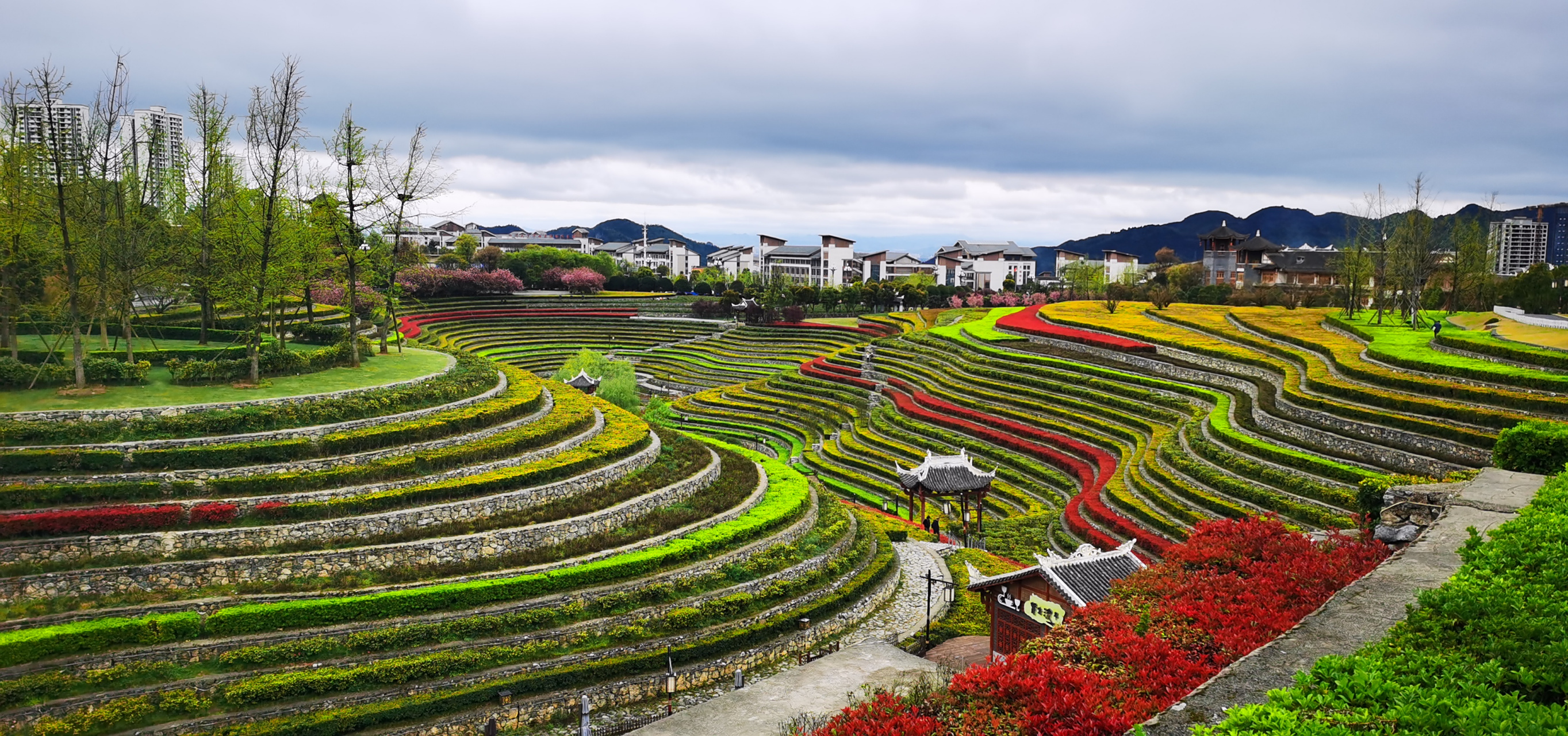 毕节奢香古镇彩色梯田