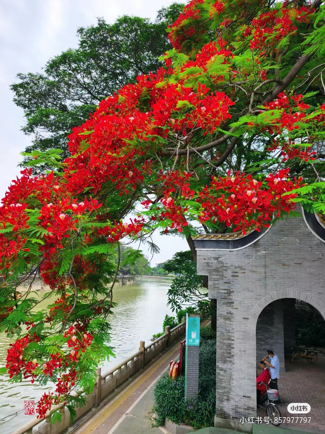 佛山中山公园景点图片图片