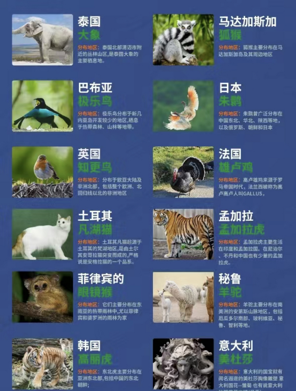 各国国宝都是啥!