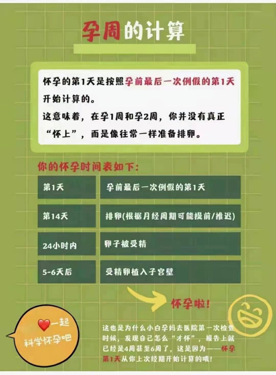 1 根据末次月经计算末次月经日期的月份加9或减3,为预产期月份数天数